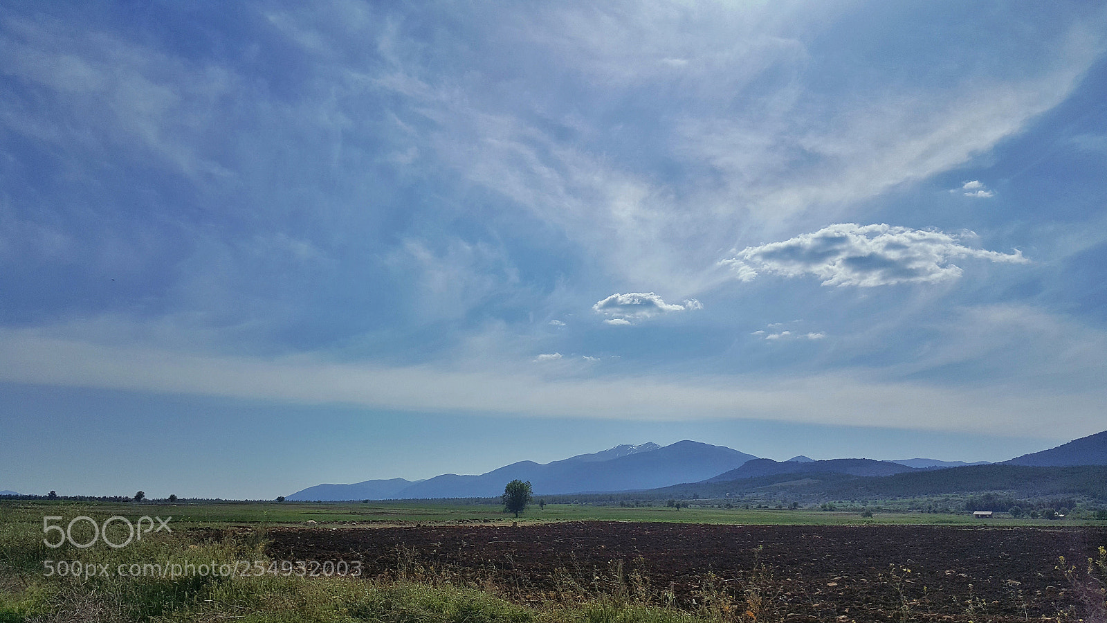 Samsung Galaxy Note5 sample photo. Untitled photography