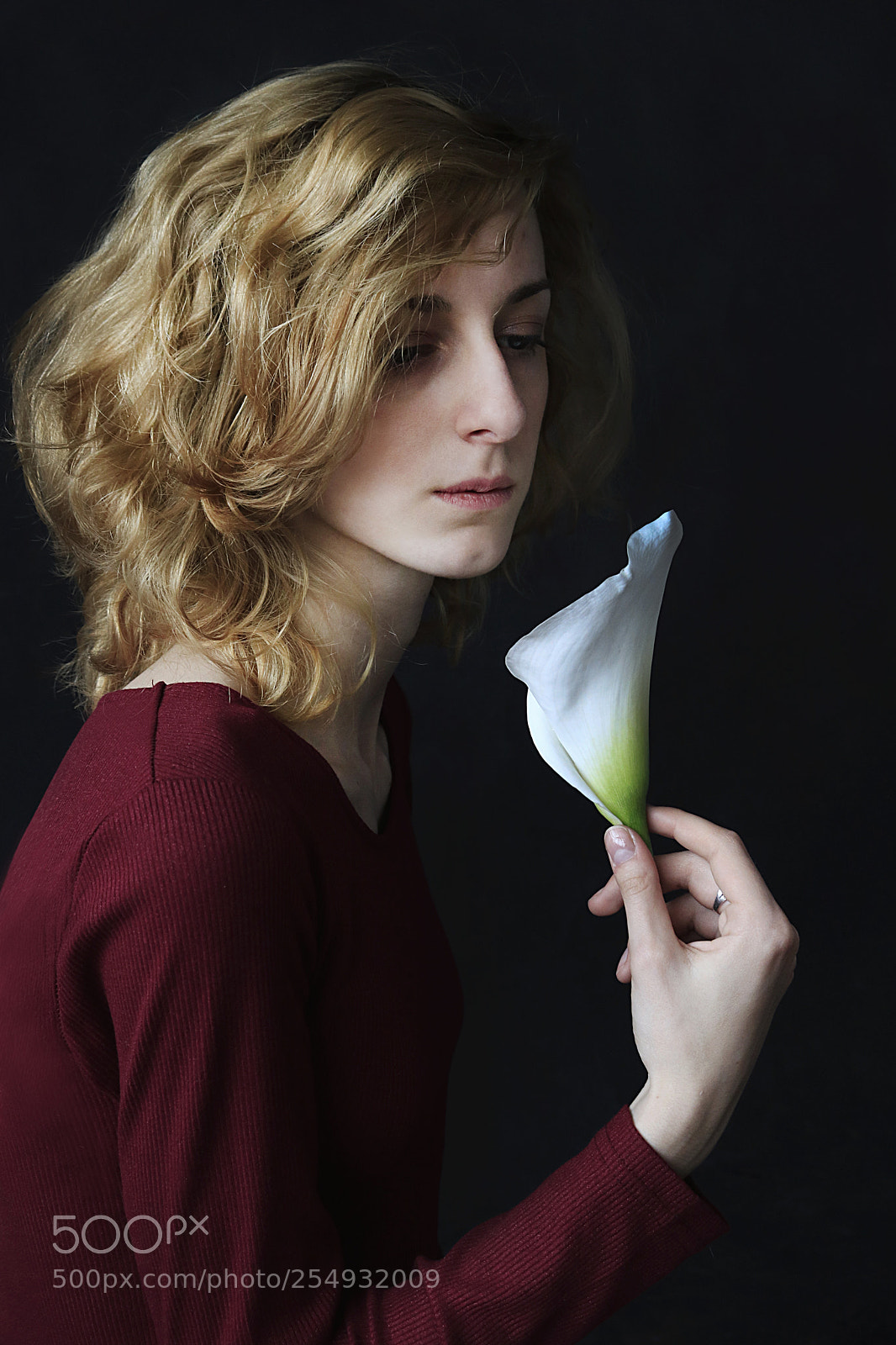 Canon EOS 750D (EOS Rebel T6i / EOS Kiss X8i) sample photo. Calla photography