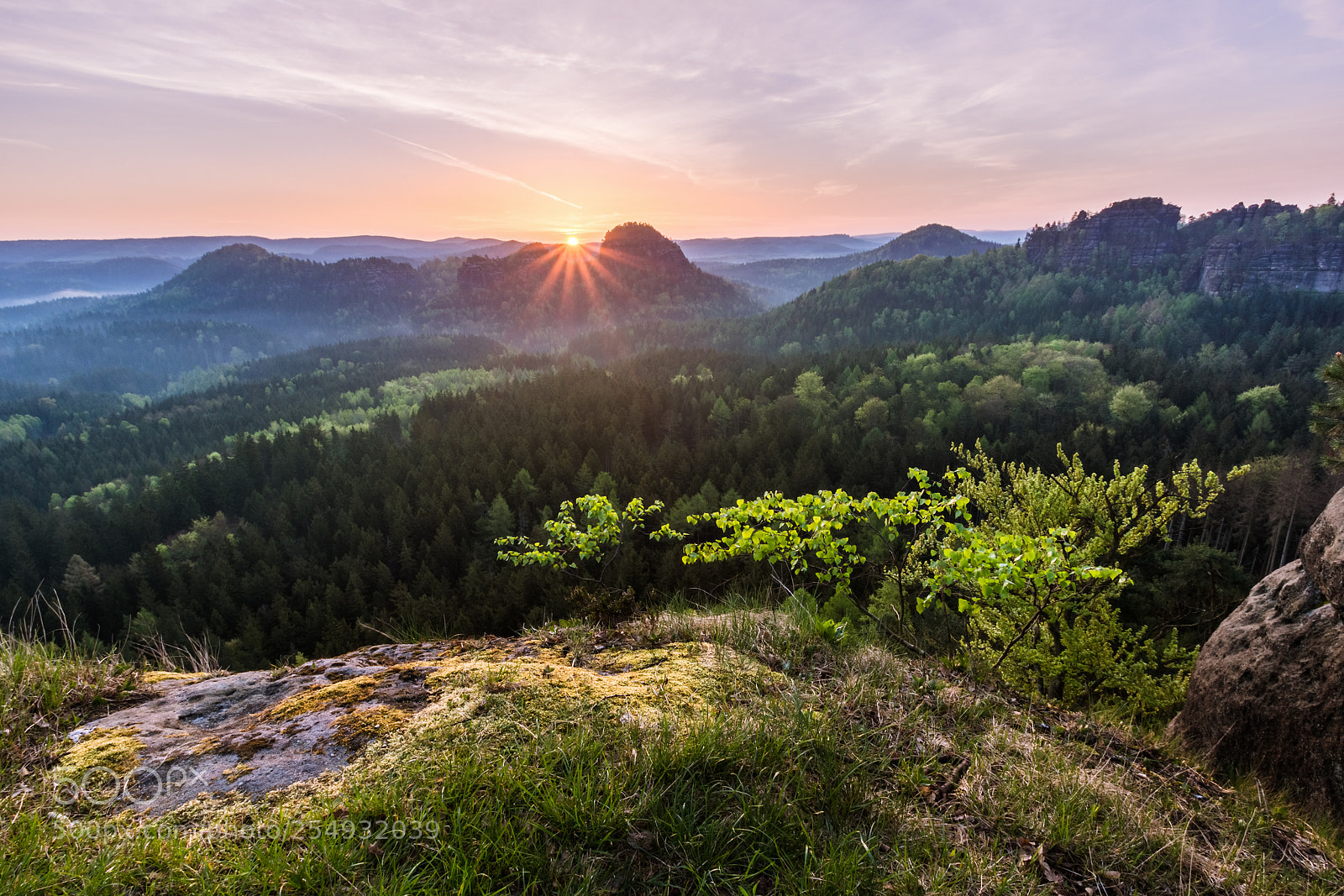 Sony SLT-A77 sample photo. Spring in saxon switzerland photography