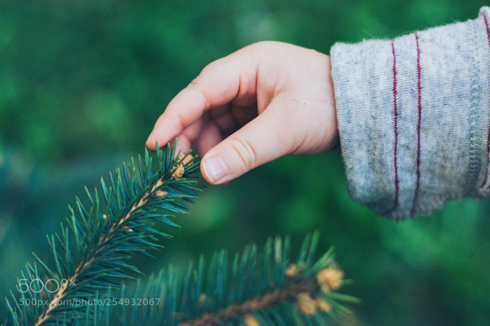 Canon EOS 100D (EOS Rebel SL1 / EOS Kiss X7) sample photo. Baby hand touching fir photography