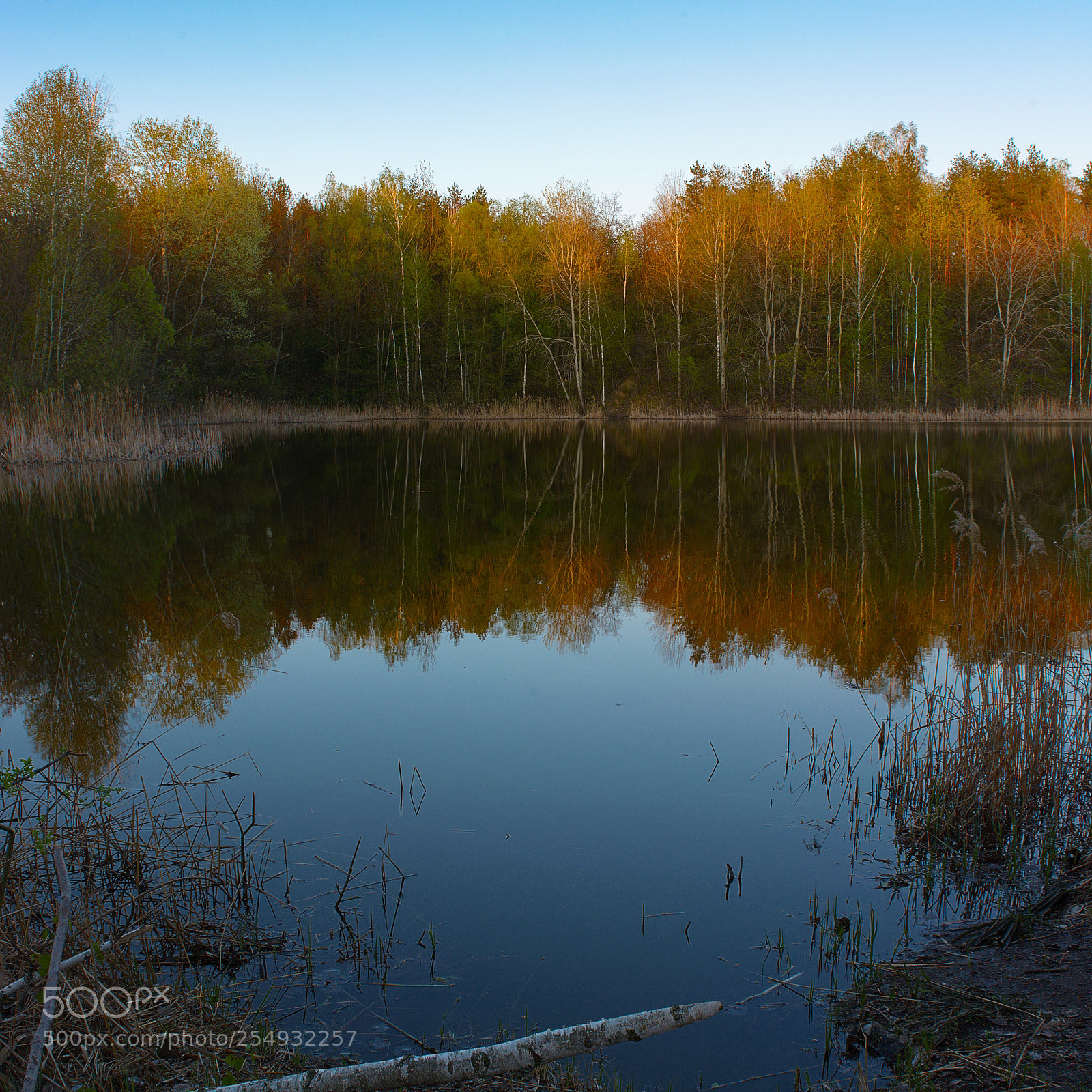 Nikon D7100 sample photo. Spring reflection photography