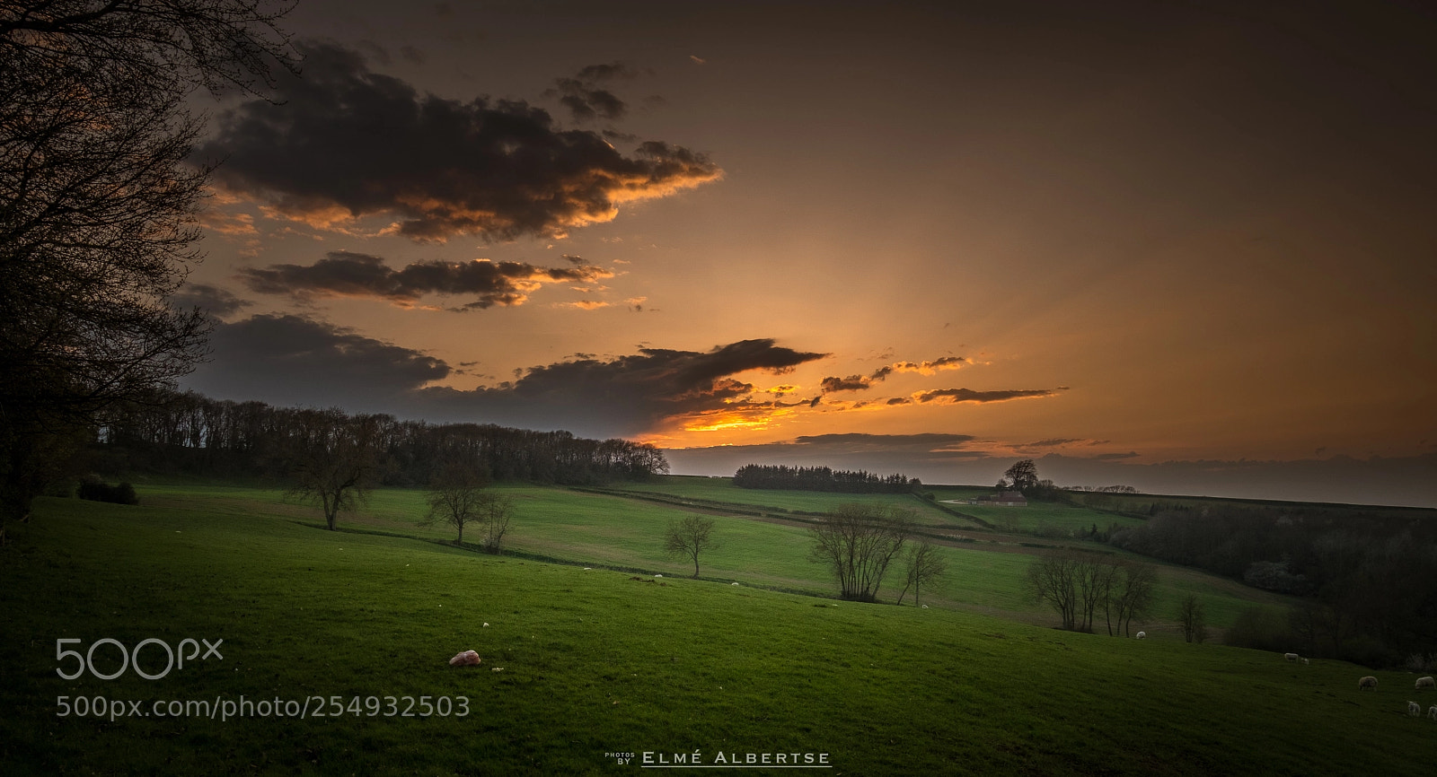Fujifilm X-T2 sample photo. Cotswolds photography
