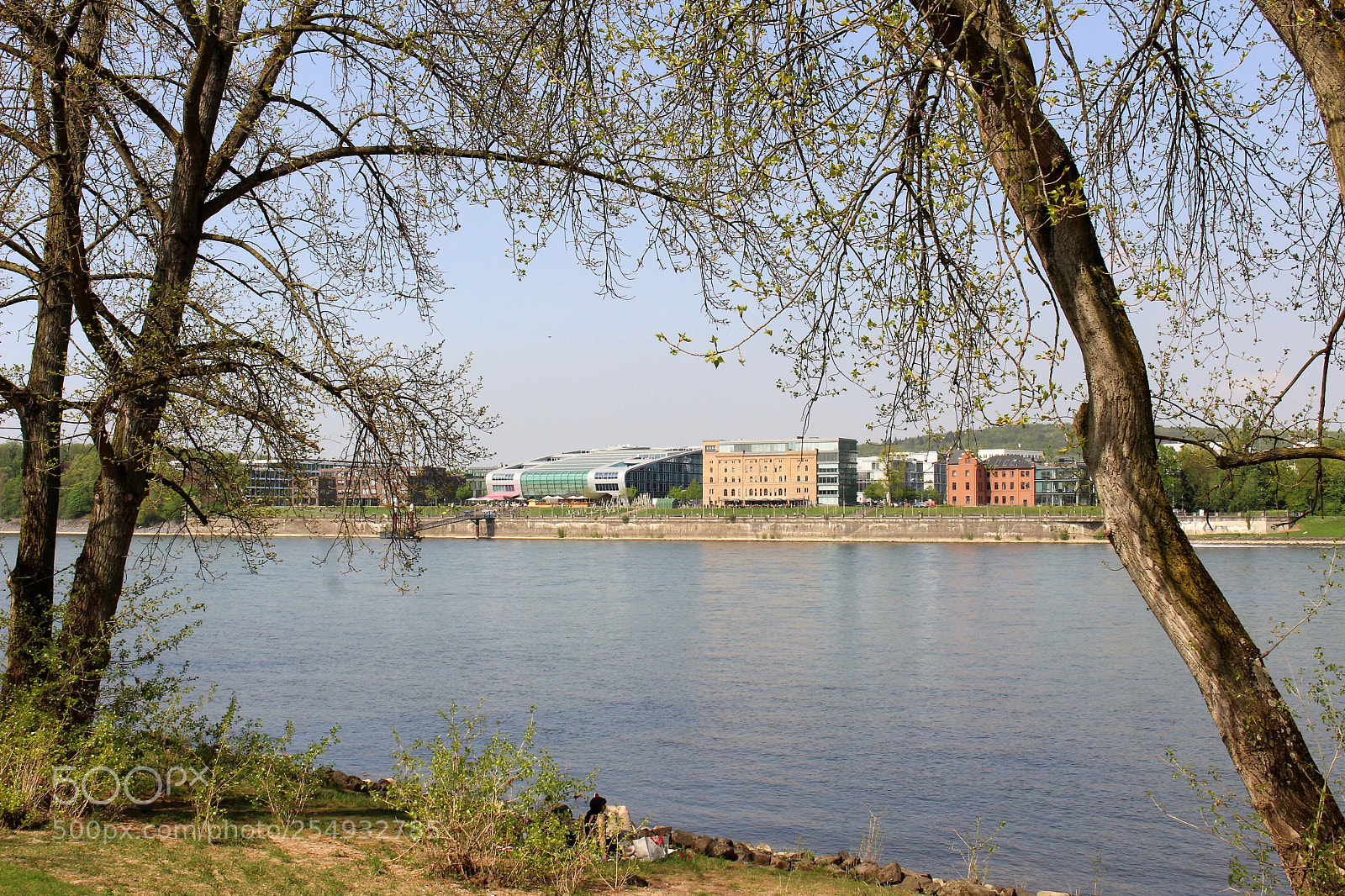 Canon EOS 700D (EOS Rebel T5i / EOS Kiss X7i) sample photo. Am rhein photography