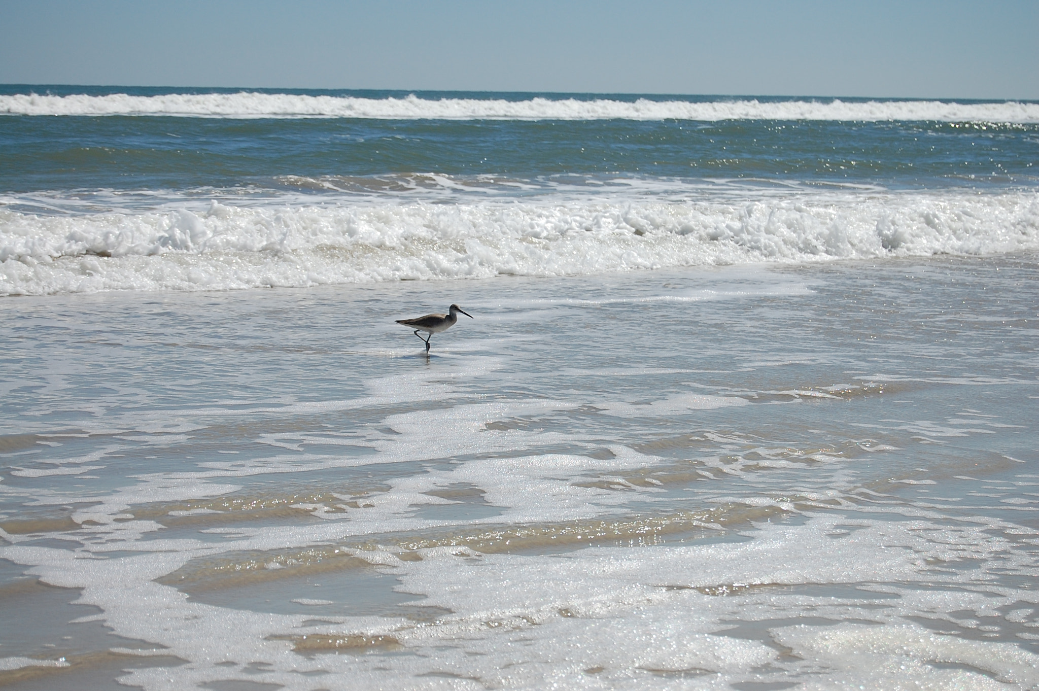 Nikon D40 sample photo. Seas the day photography