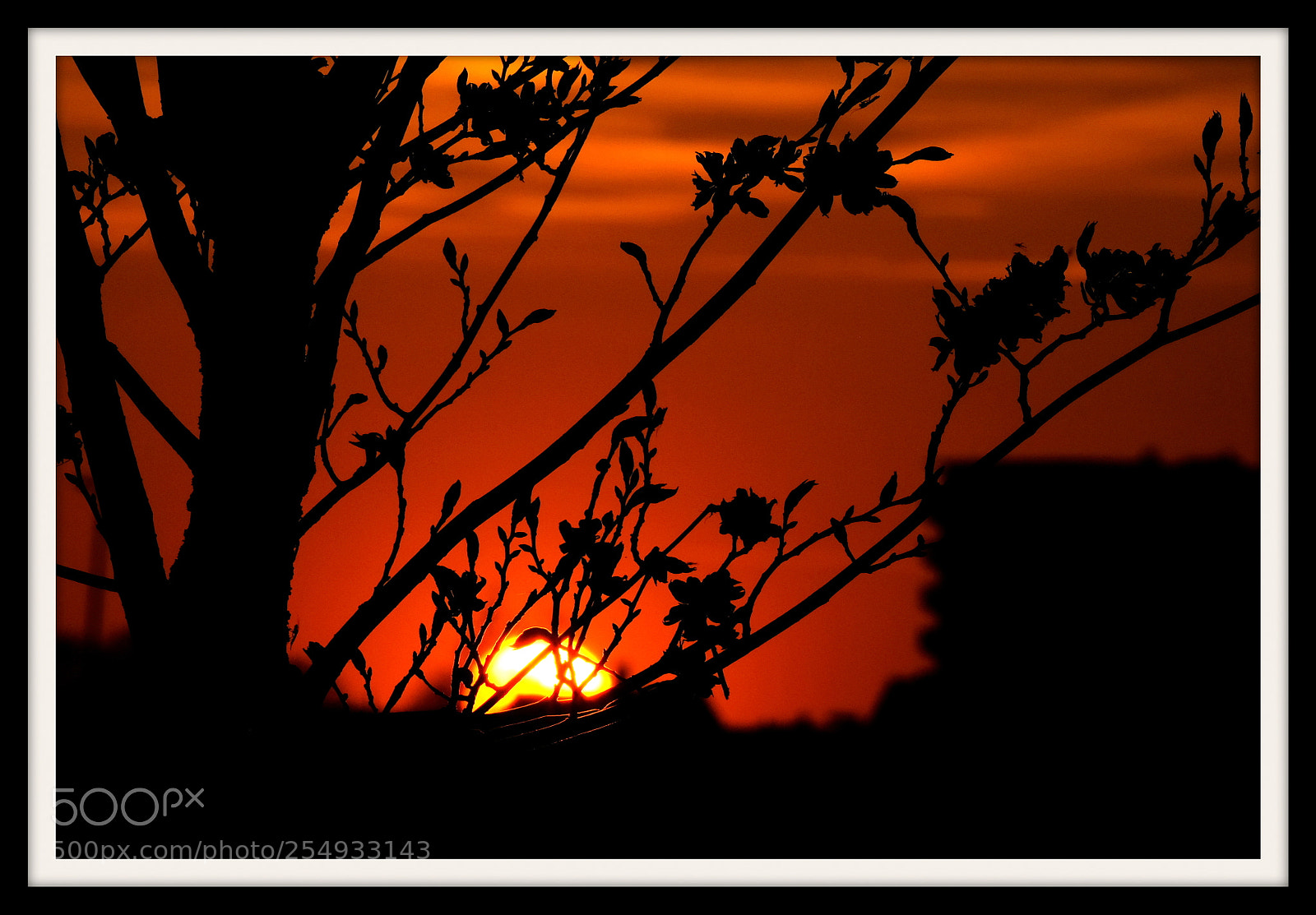 Fujifilm X-T2 sample photo. Strong sunset photography