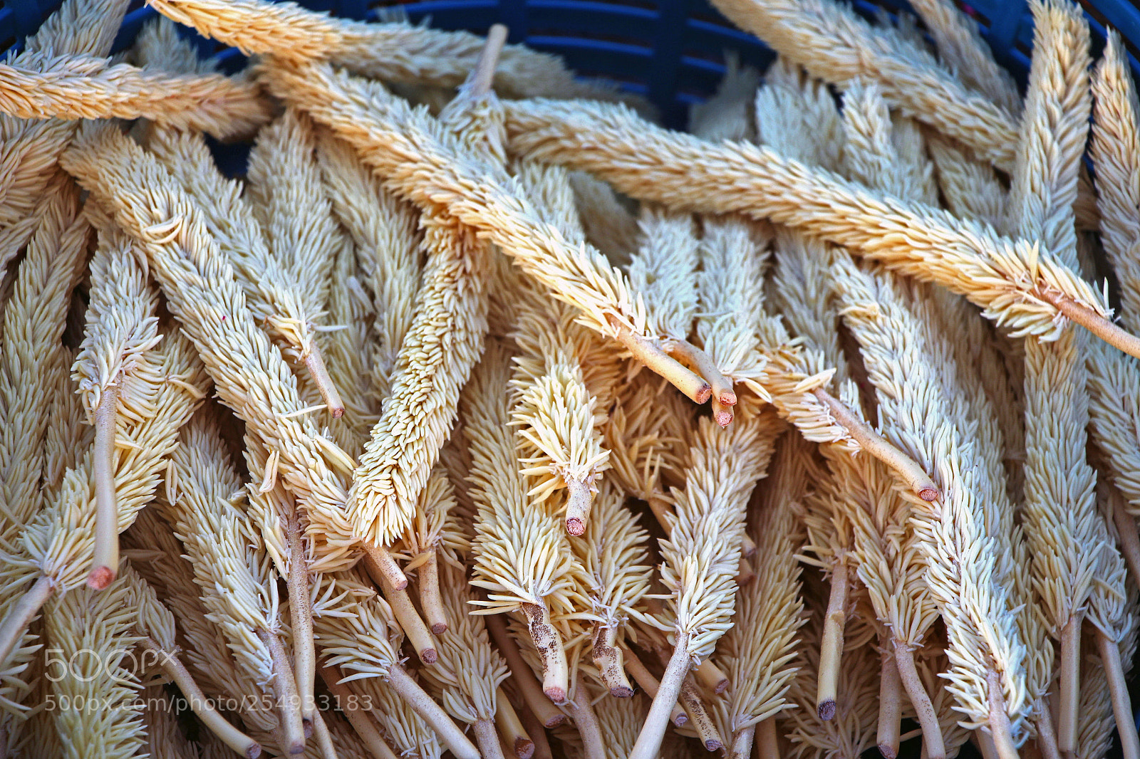 Canon EOS 650D (EOS Rebel T4i / EOS Kiss X6i) sample photo. Seen at guatemalan market photography