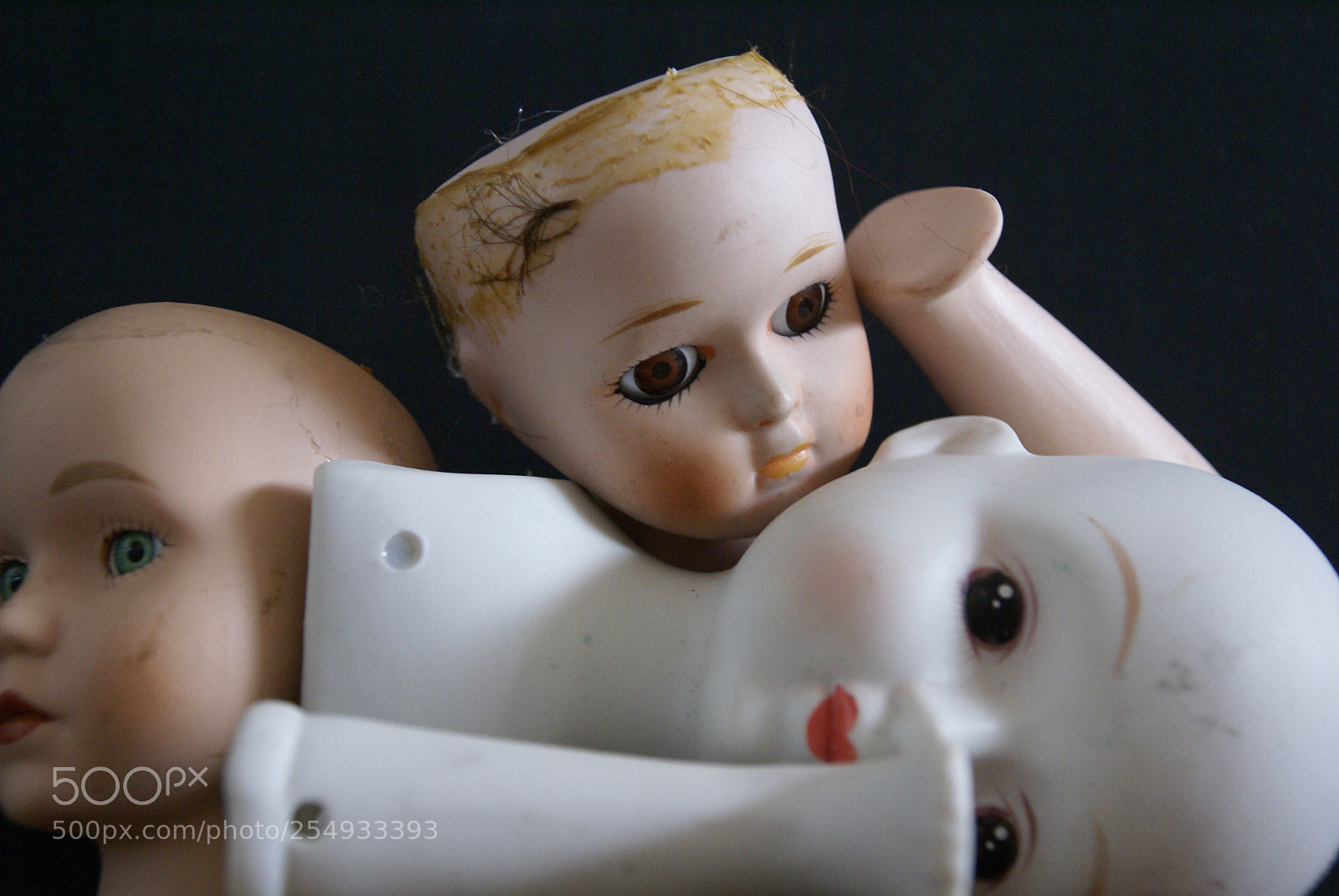 Sony Alpha DSLR-A100 sample photo. Untitled photography