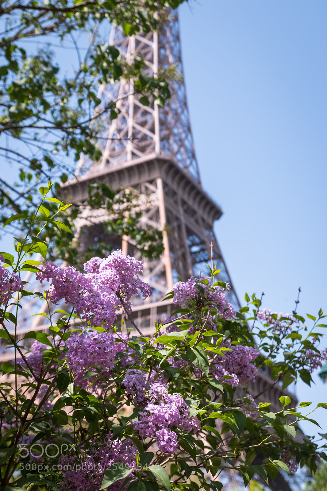 Canon EOS 70D sample photo. Tour eiffel photography