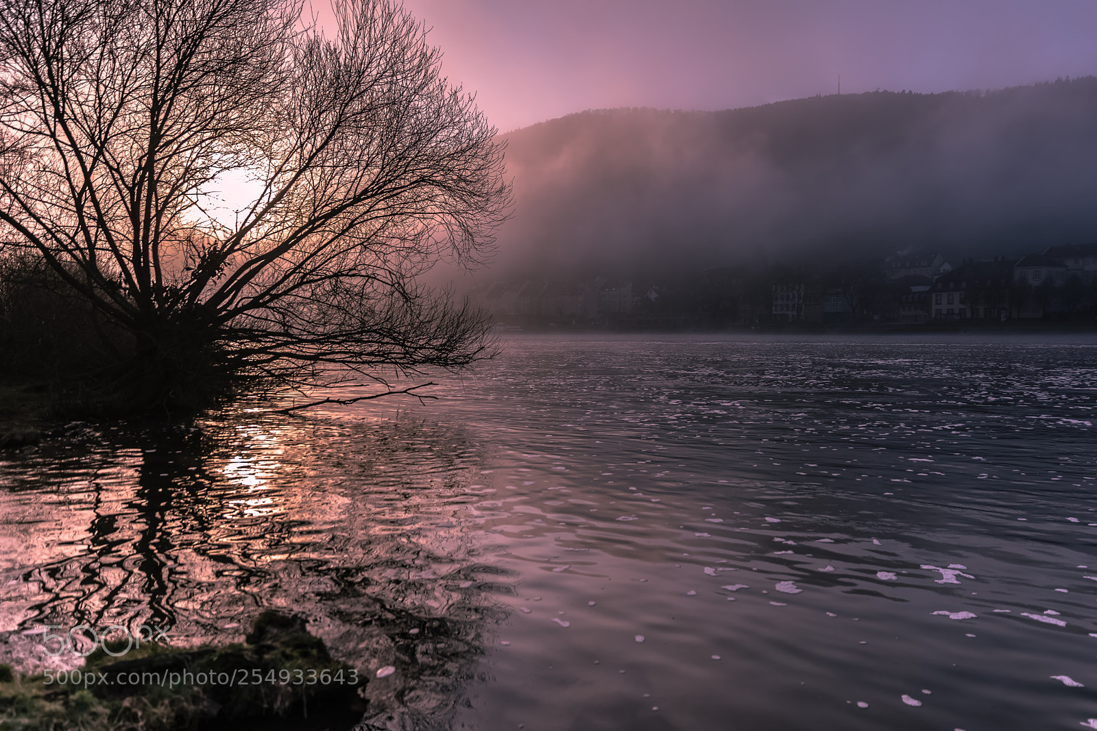 Canon EOS 5D Mark IV sample photo. Neckar river, heidelberg, germany photography