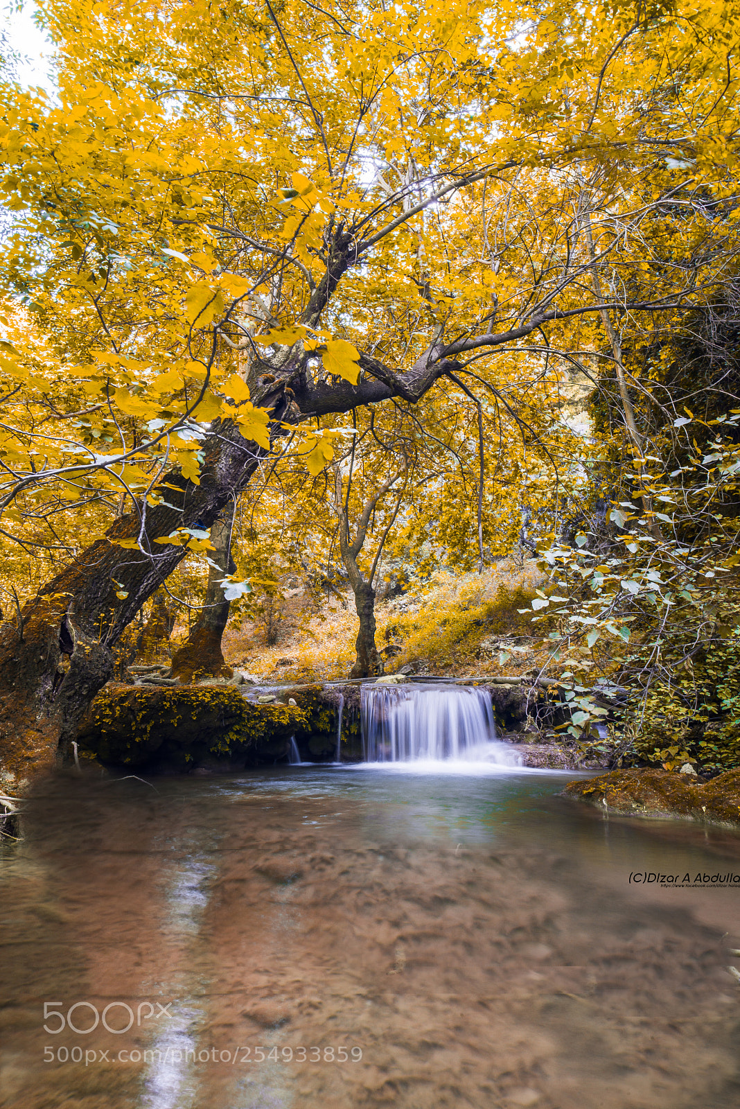 Nikon D610 sample photo. Untitled photography