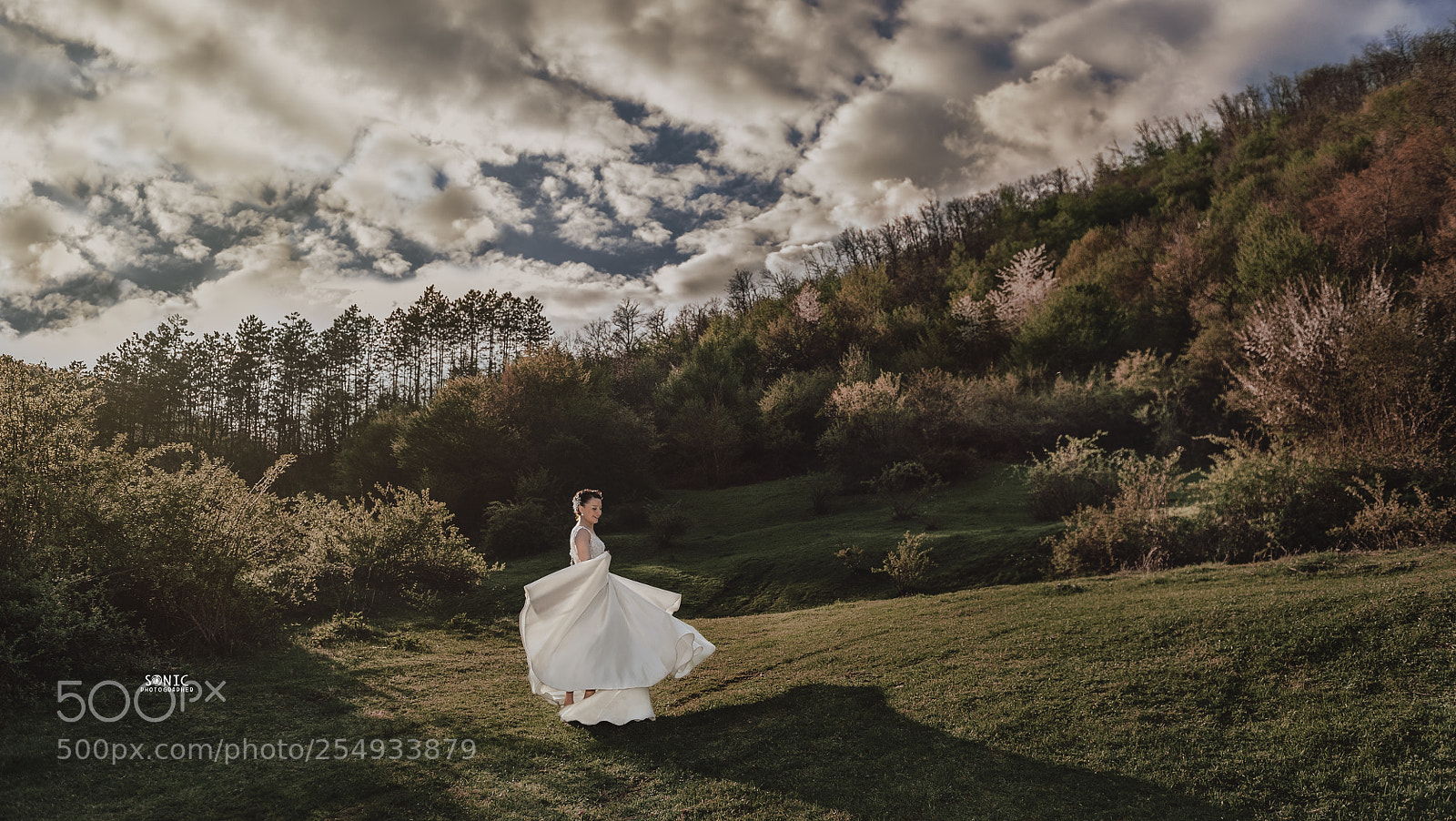 Nikon D700 sample photo. Wedding - sonic photographer photography