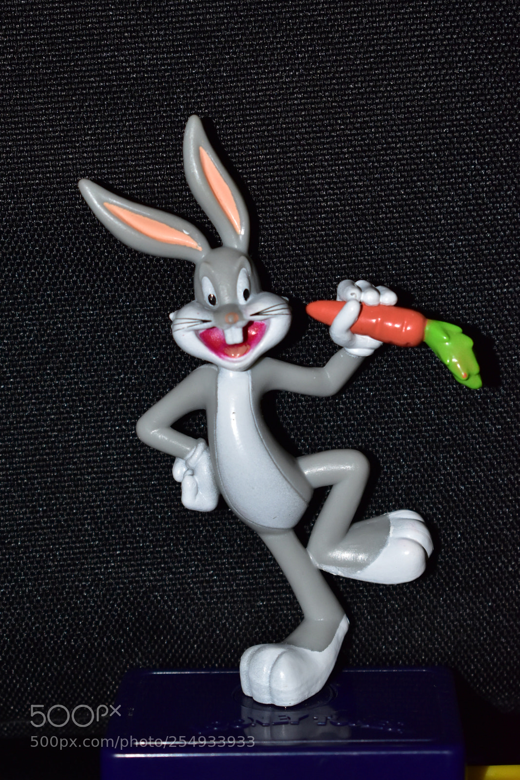 Nikon D5600 sample photo. Bugs bunny photography