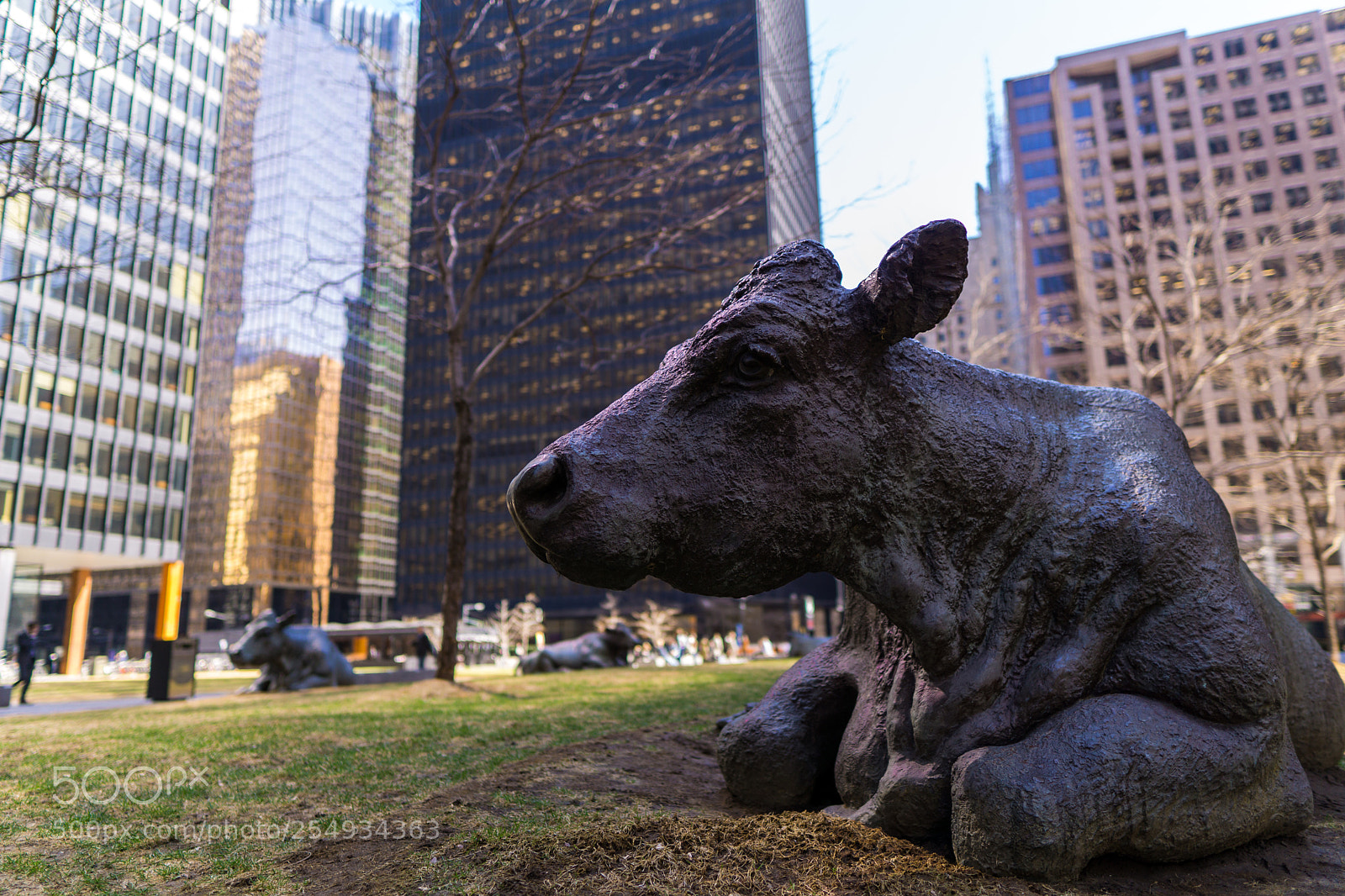Sony a6000 sample photo. Bronze city cows photography