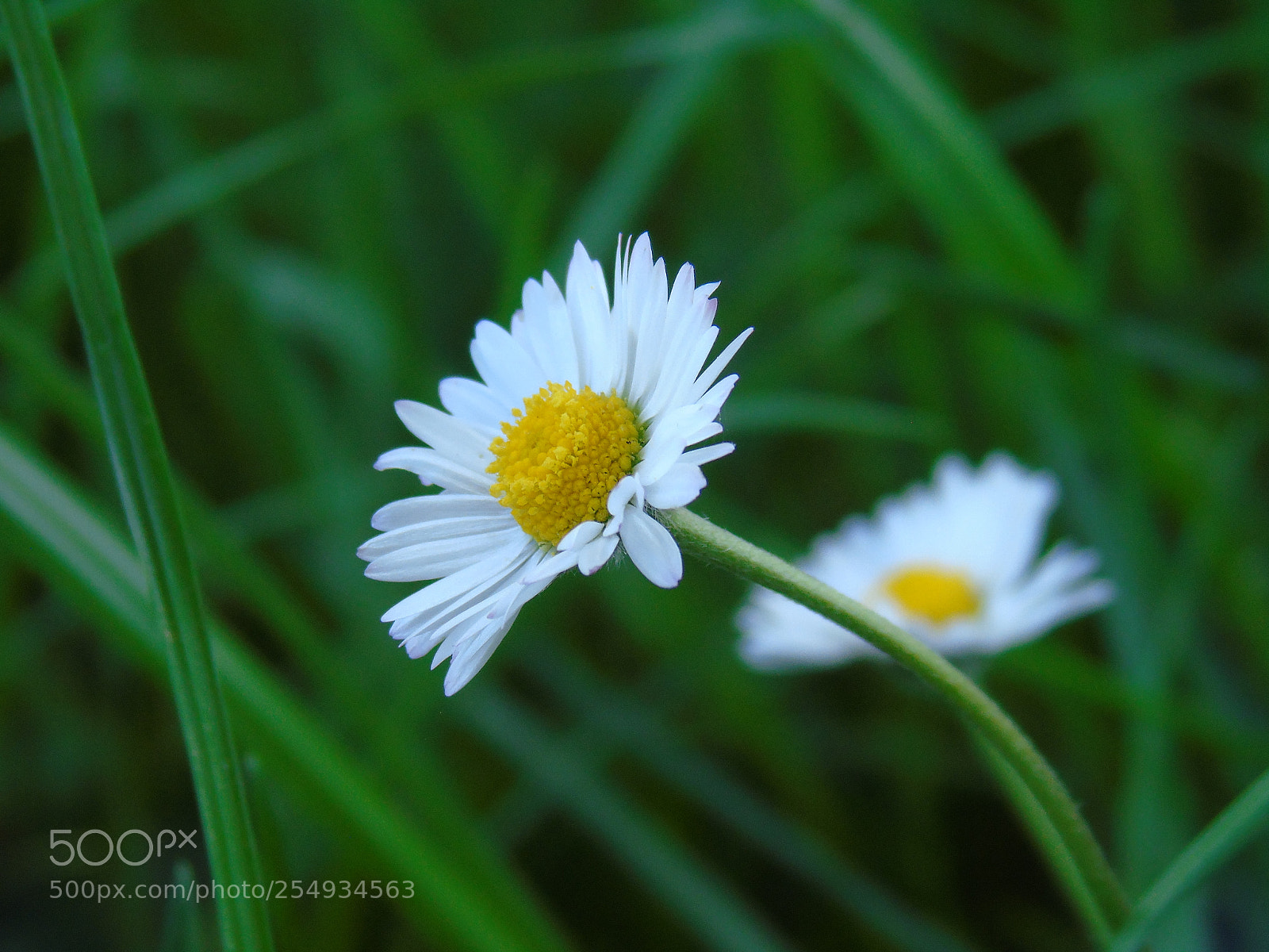 Sony Cyber-shot DSC-H400 sample photo. Focus photography