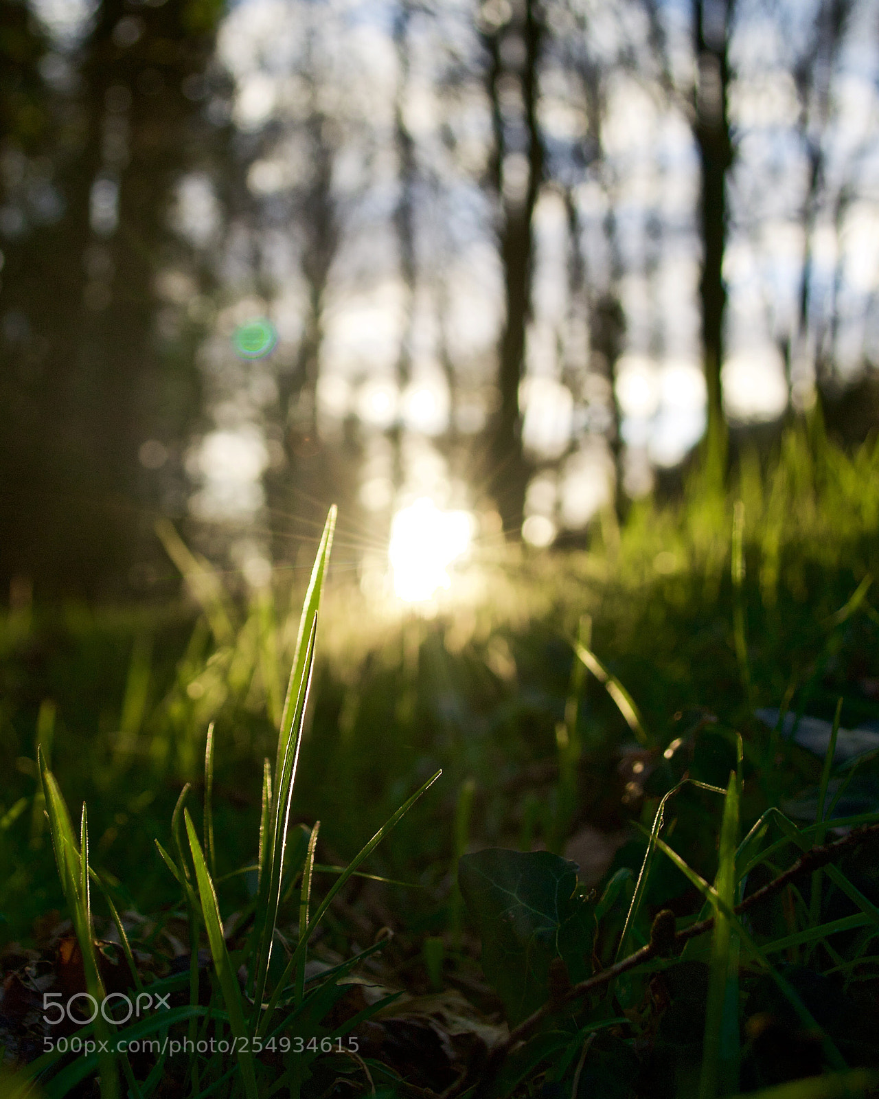 Nikon D3100 sample photo. Cutting blades photography