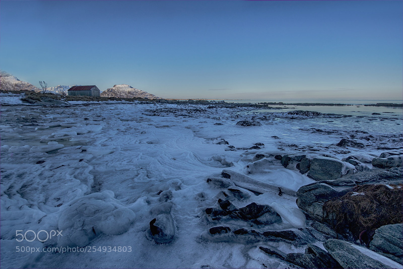Nikon D800 sample photo. Waves out of ice photography
