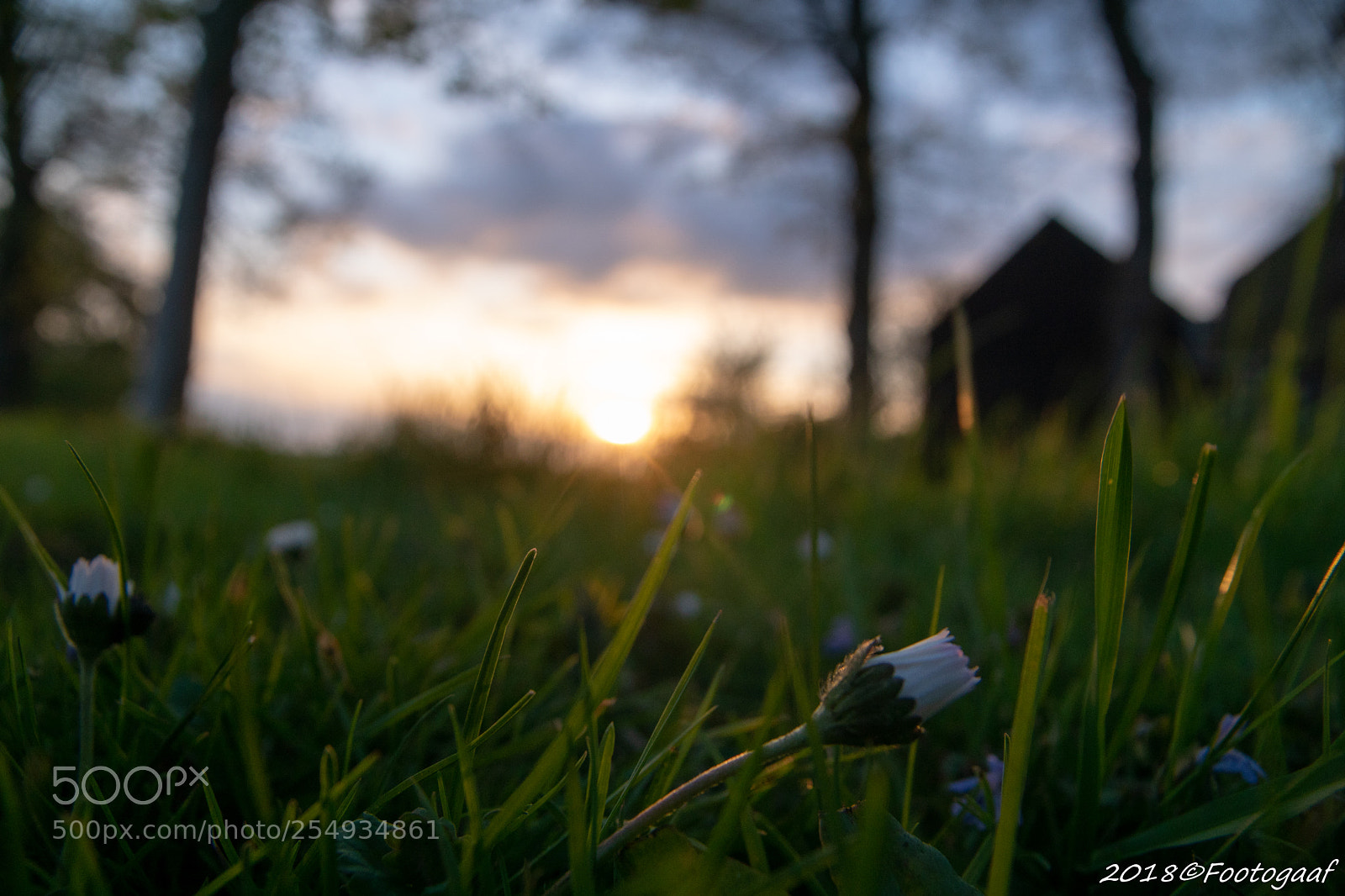 Sony ILCA-77M2 sample photo. Sunset kiel windeweer photography