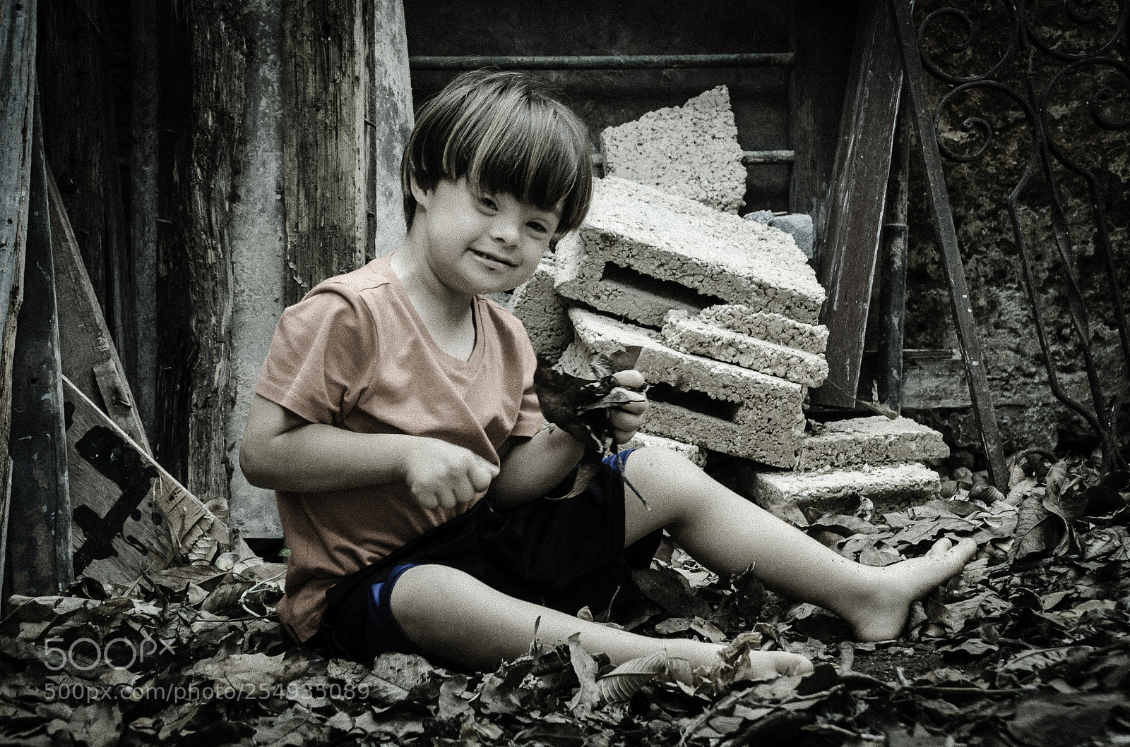 Nikon D7000 sample photo. Untitled photography