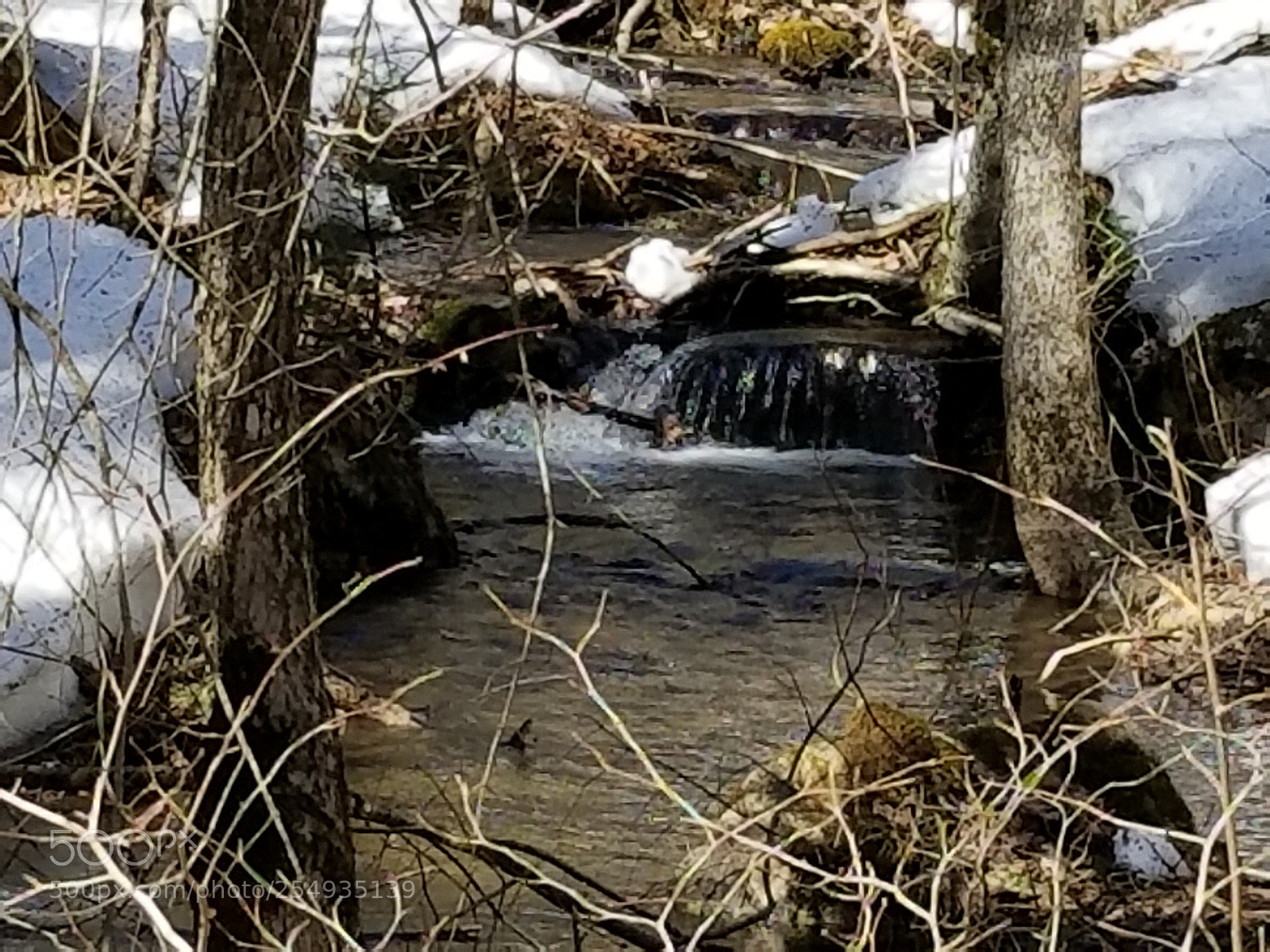 Samsung Galaxy S8 sample photo. Spring photography