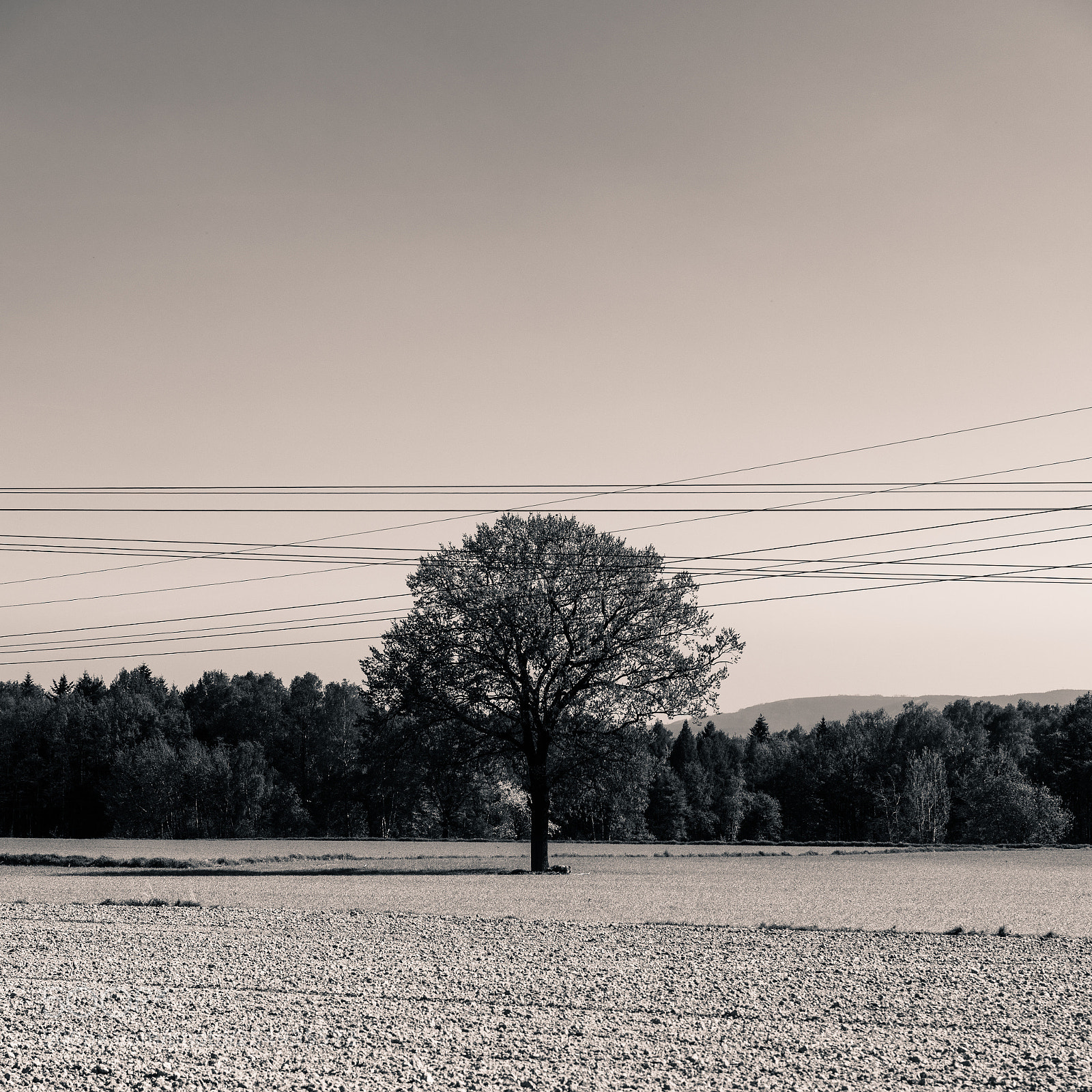 Nikon D810 sample photo. Dangerous lines photography
