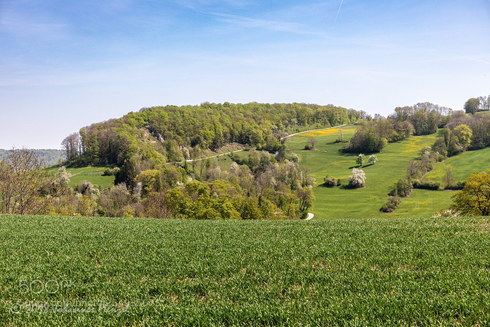Canon EOS 5D Mark IV sample photo. Springtime meadows photography