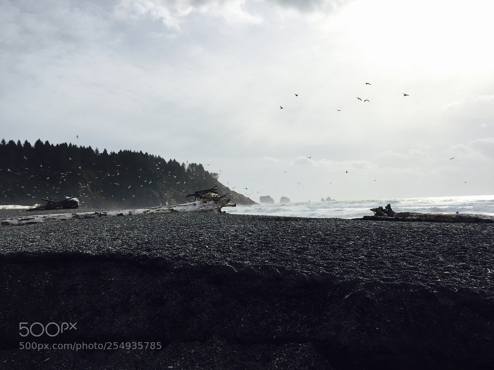 Apple iPhone 6 sample photo. Beach photography