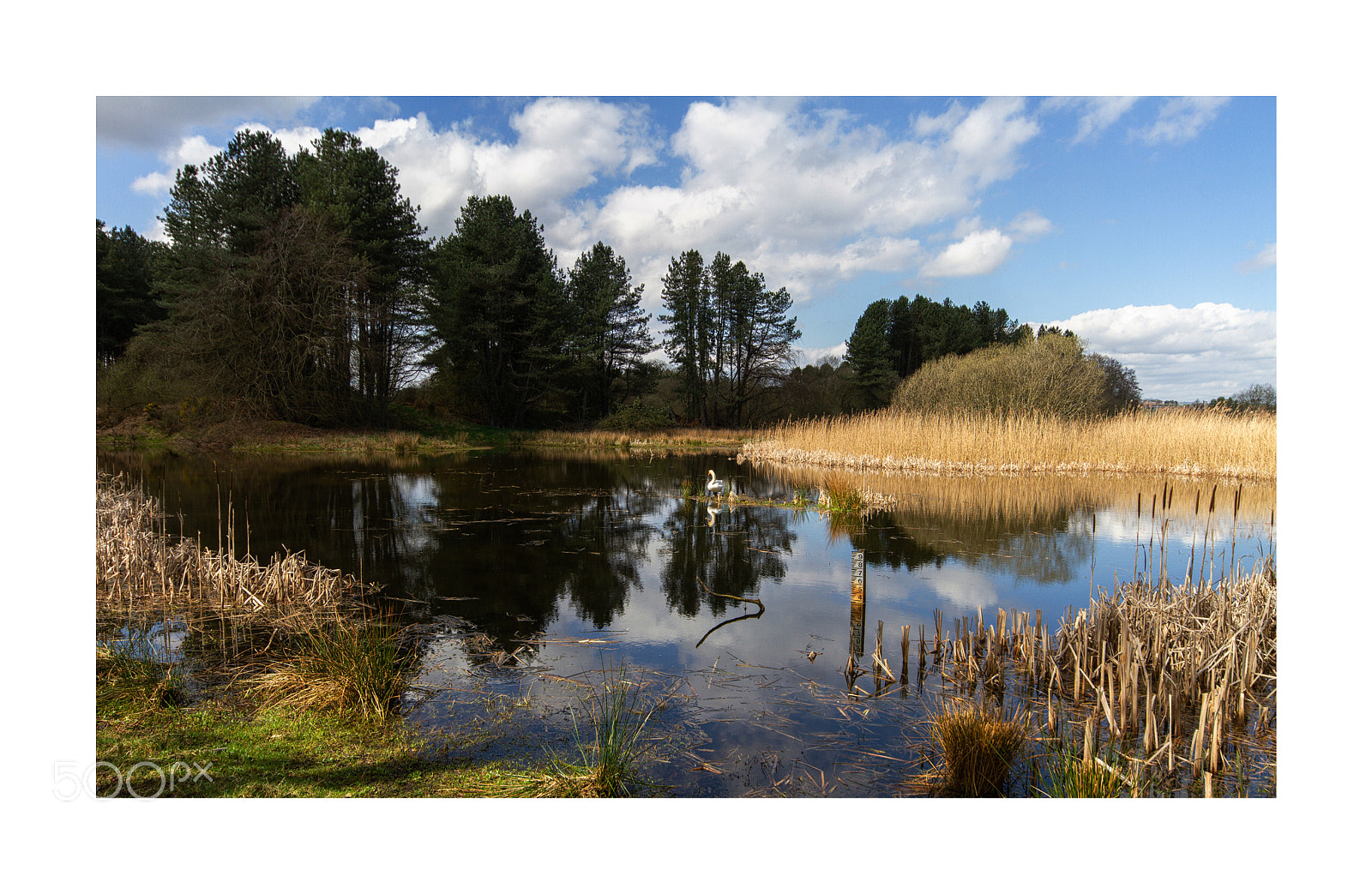 Canon EOS 7D sample photo. Morton loch photography