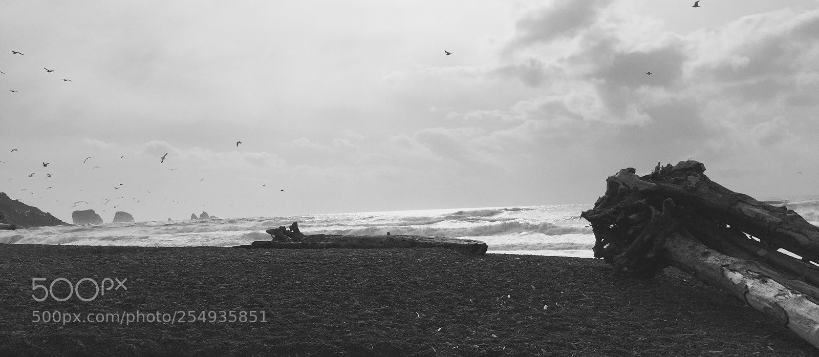 Apple iPhone 6 sample photo. Beach photography