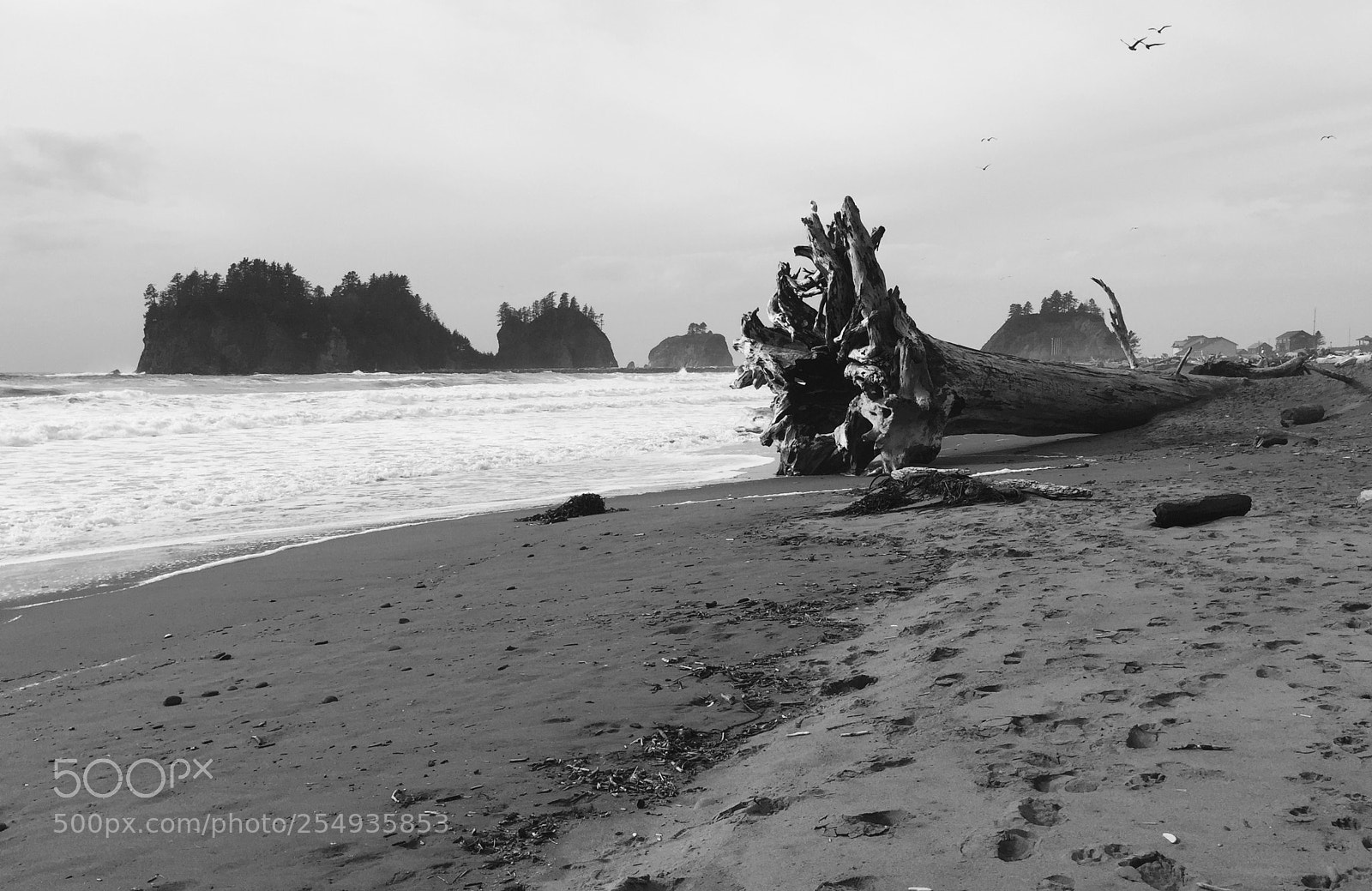 Apple iPhone 6 sample photo. Beach photography