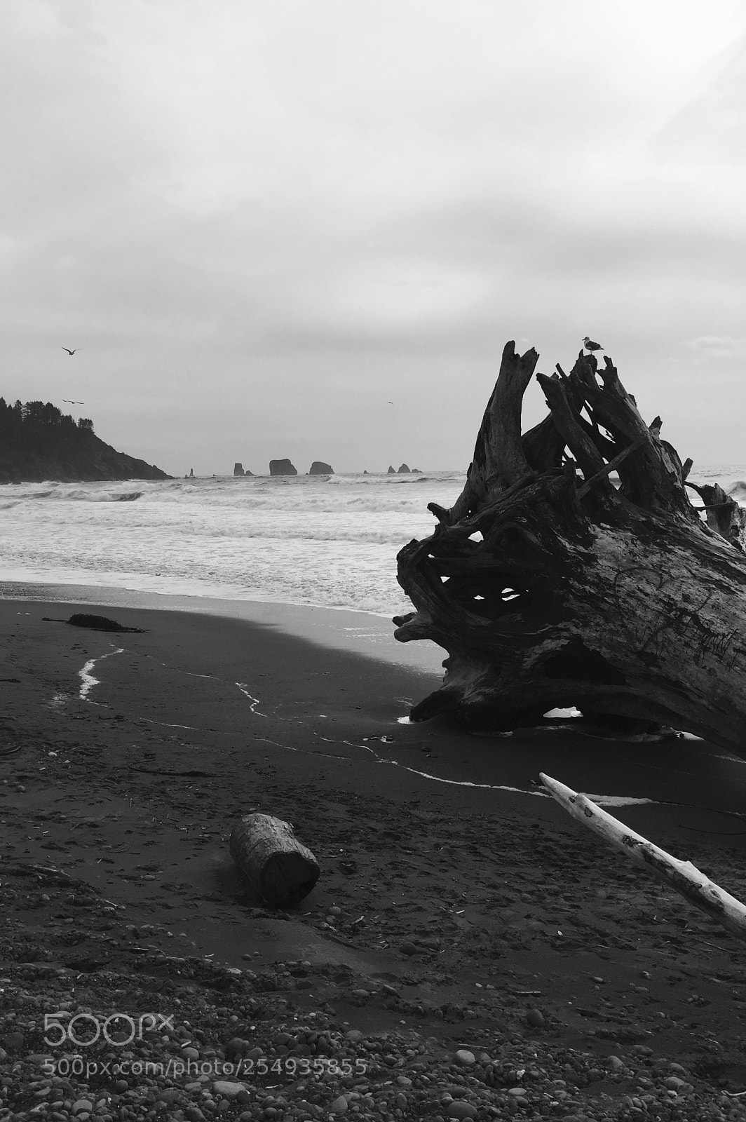 Apple iPhone 6 sample photo. Beach photography