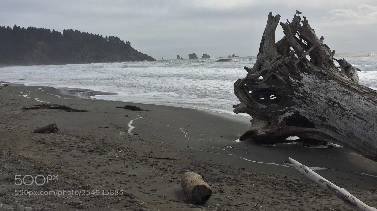 Apple iPhone 6 sample photo. Beach photography