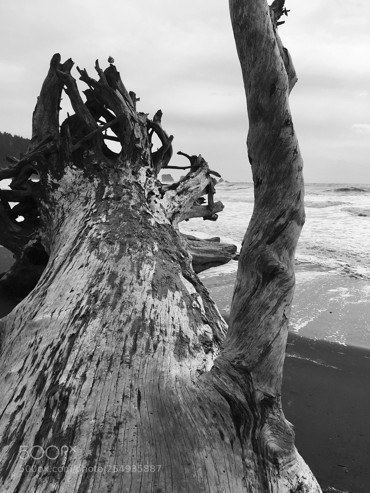 Apple iPhone 6 sample photo. Beach photography