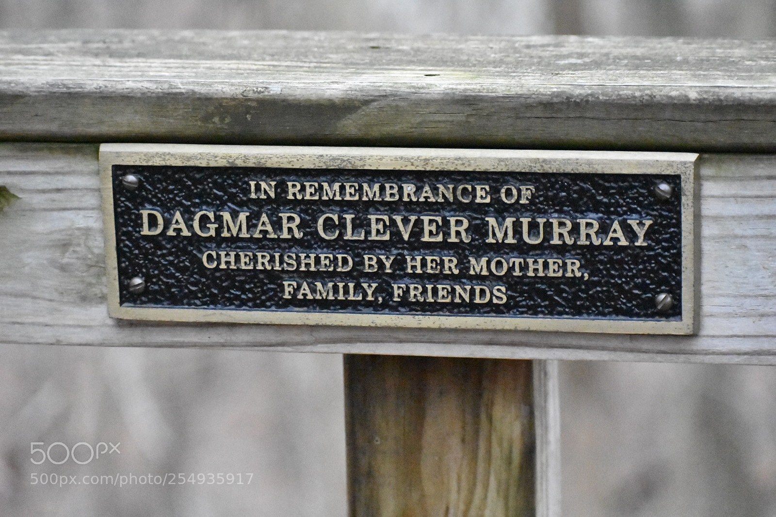 Nikon D3400 sample photo. Memory of dagmar clever photography