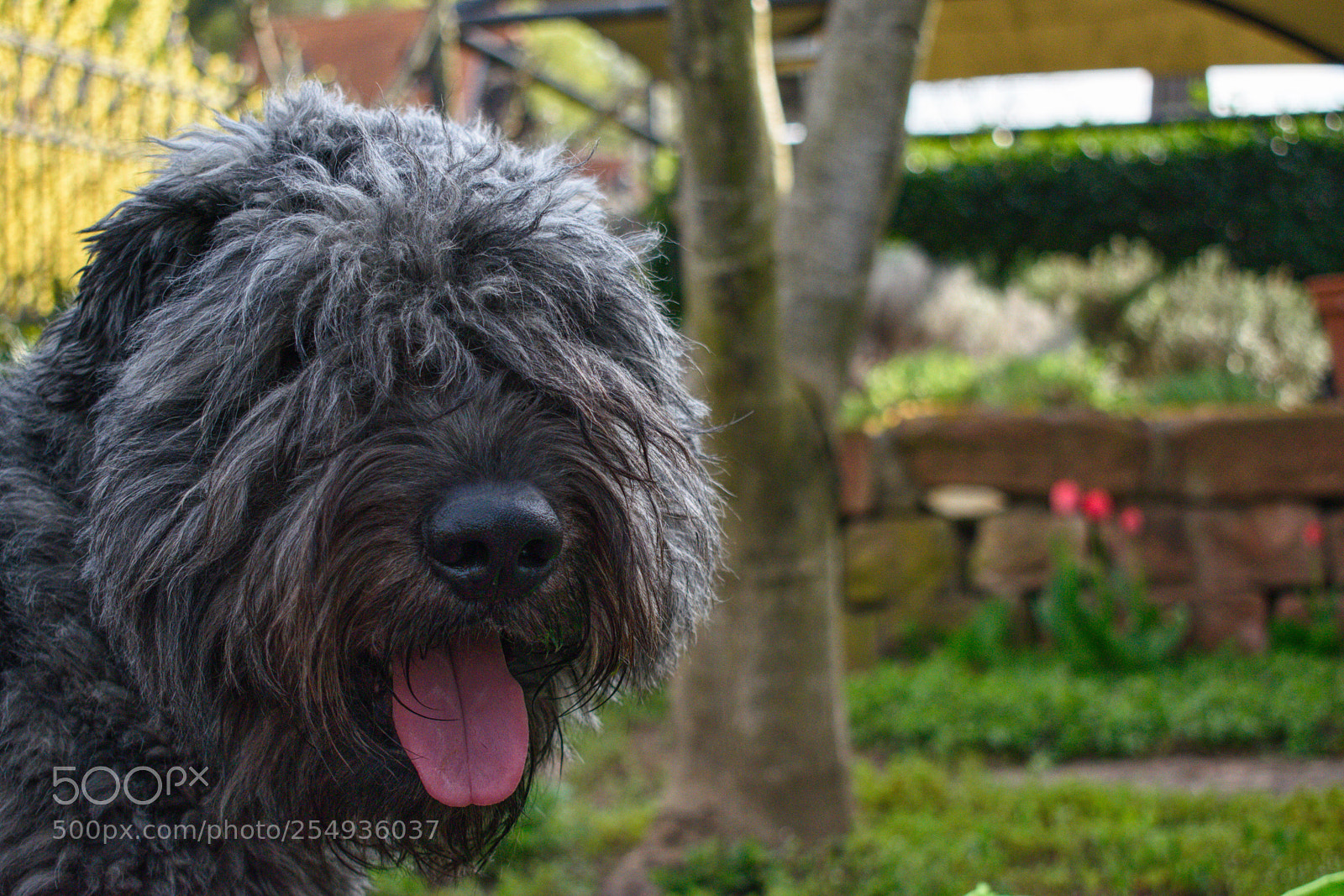 Nikon D5300 sample photo. Harvey photography