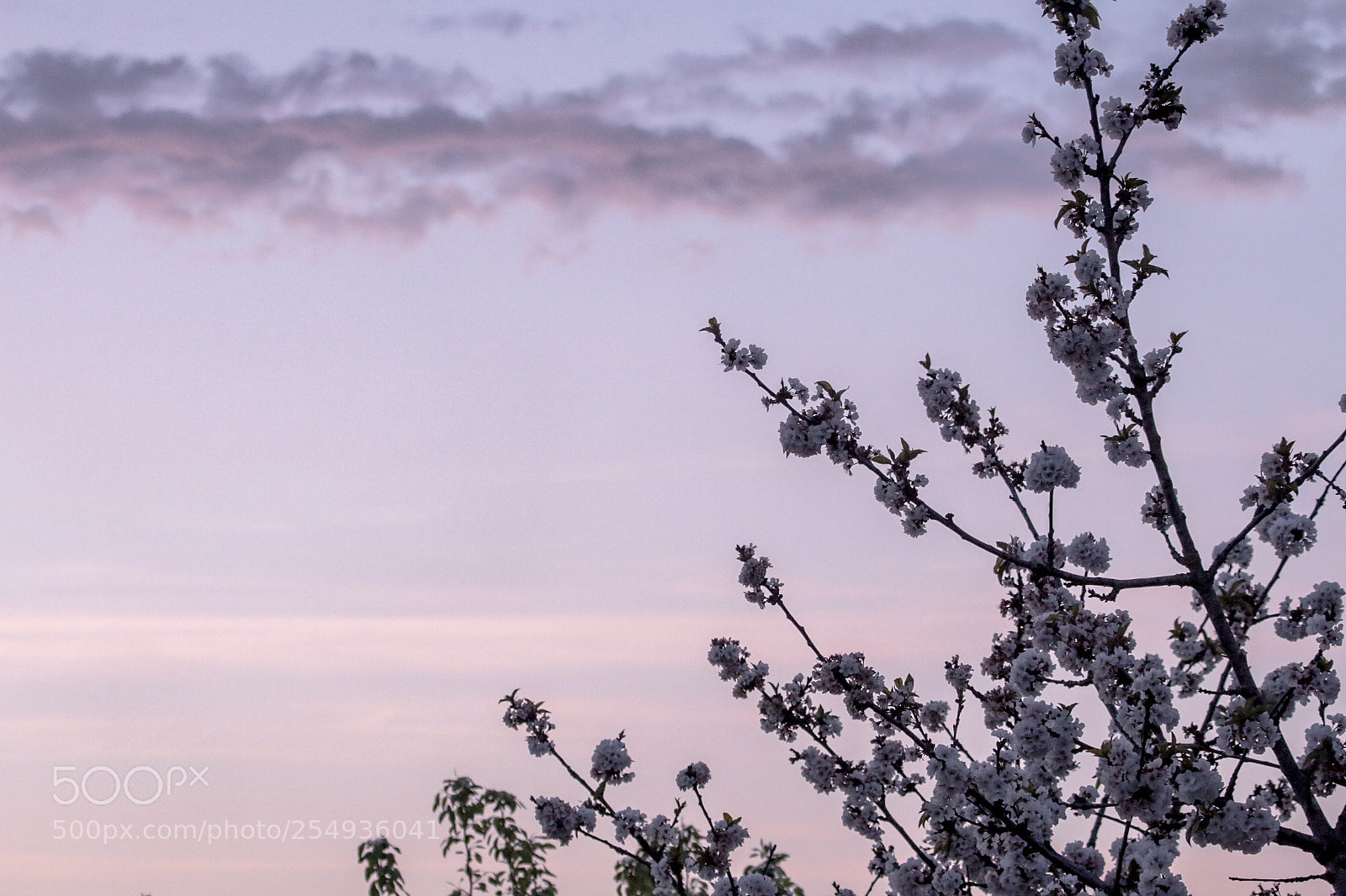 Canon EOS 70D sample photo. End of the day. photography