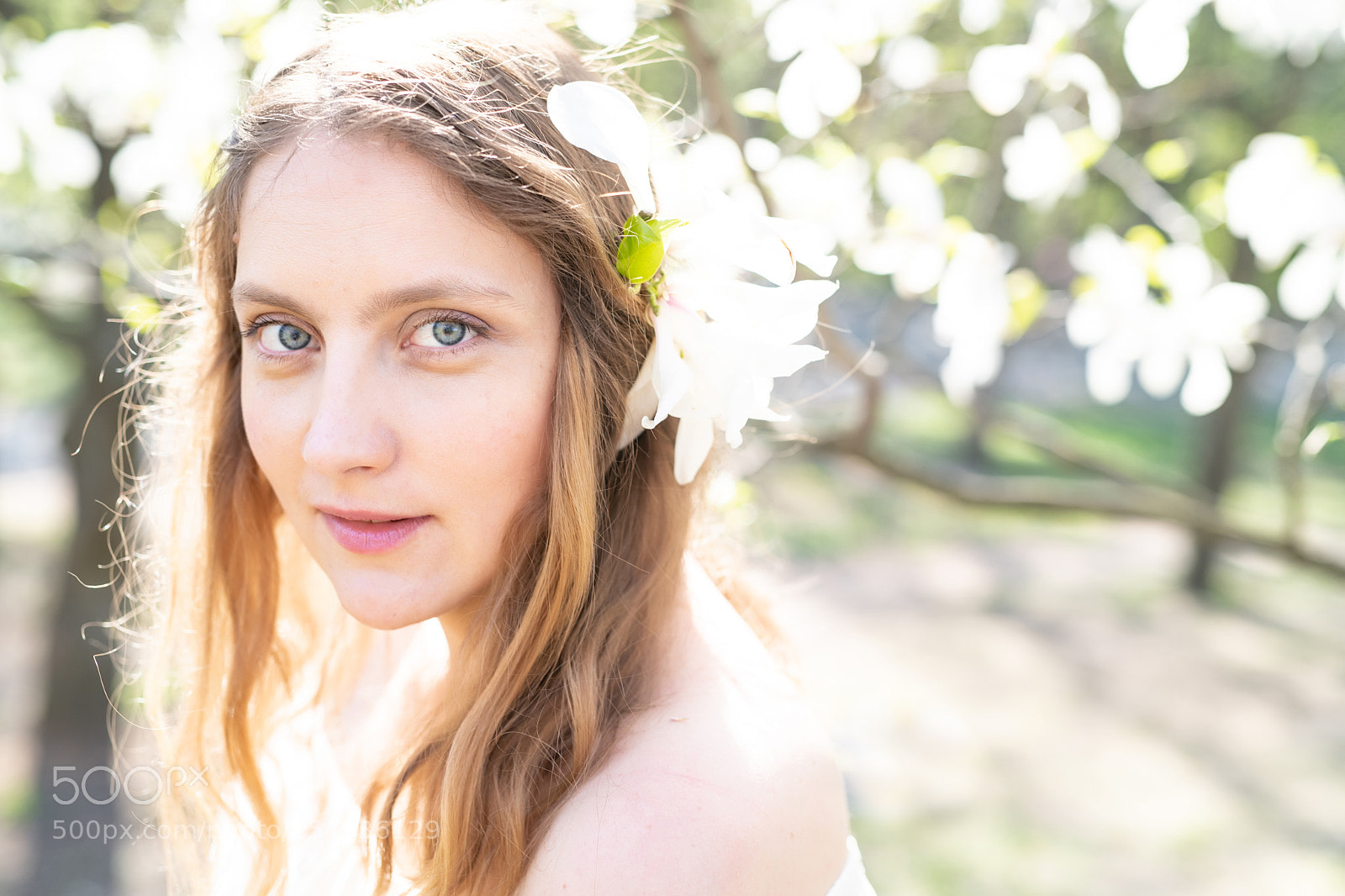 Nikon D850 sample photo. Spring photography