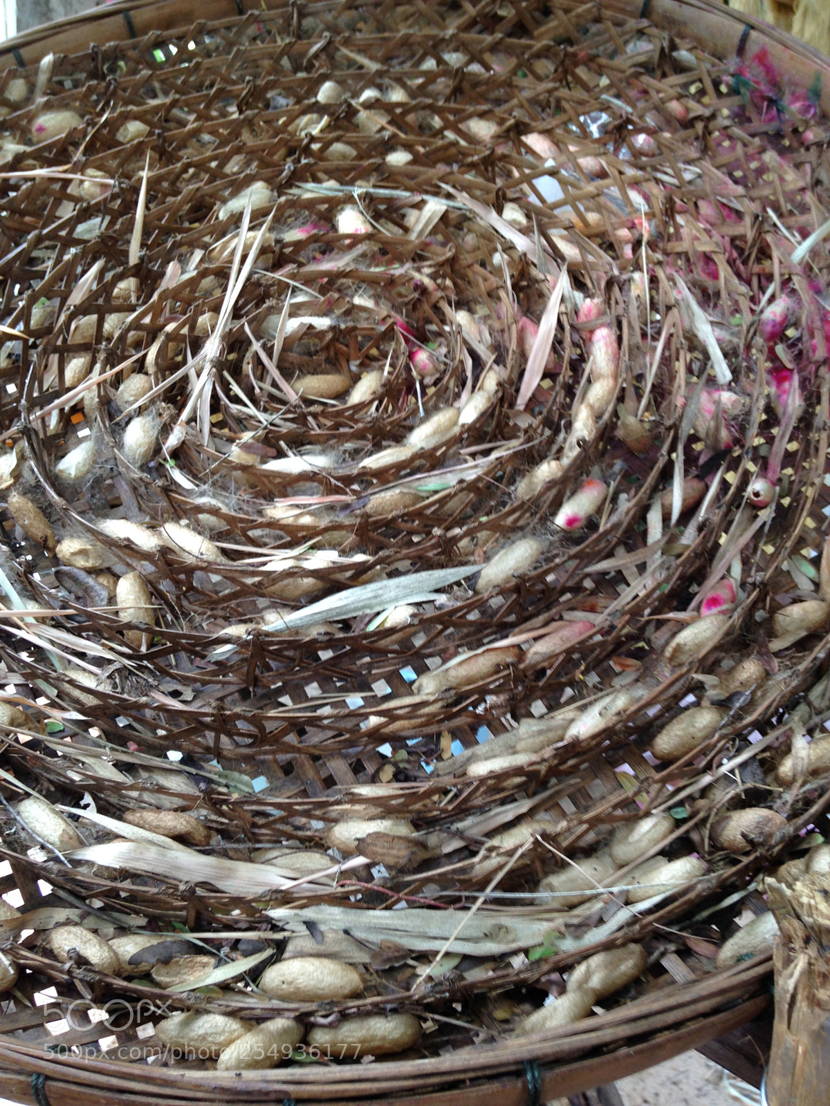 Apple iPhone 5 sample photo. Silk basket photography