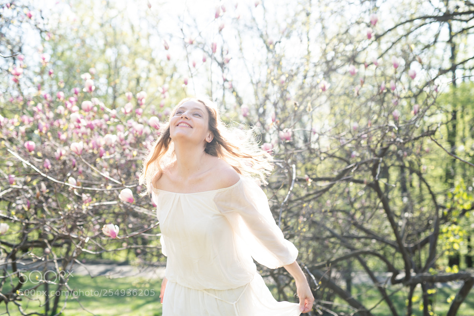 Nikon D850 sample photo. Spring photography