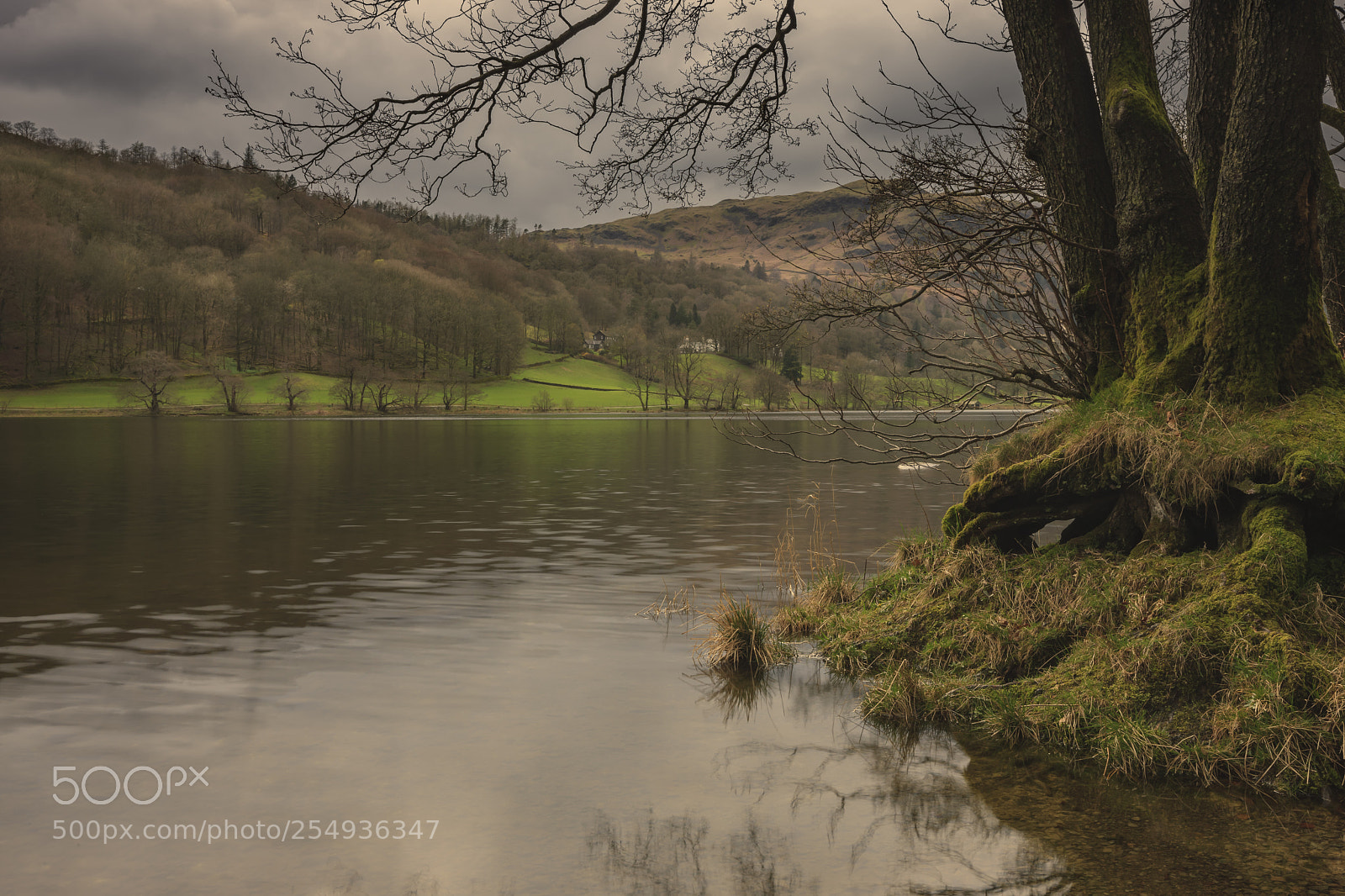 Canon EOS-1Ds Mark III sample photo. Rydon water grey skies photography