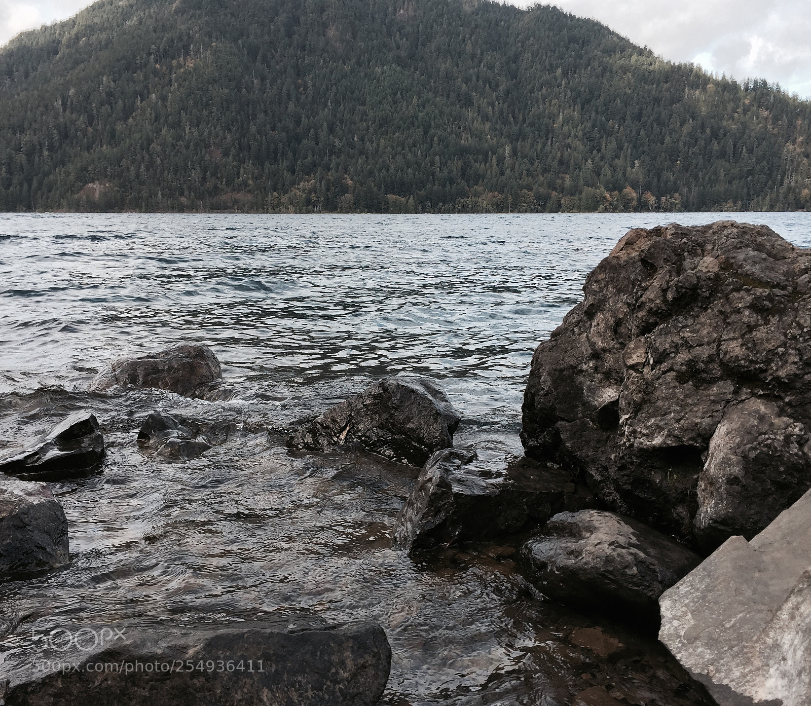 Apple iPhone 6 sample photo. Washington photography