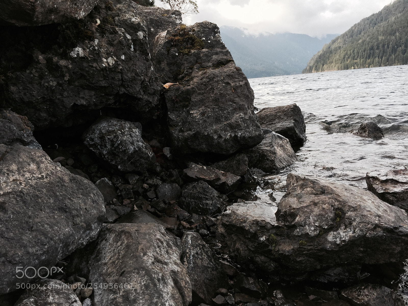 Apple iPhone 6 sample photo. Washington photography
