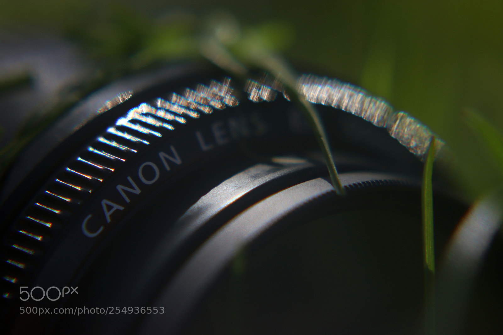 Canon EOS 77D (EOS 9000D / EOS 770D) sample photo. Canon lens photography