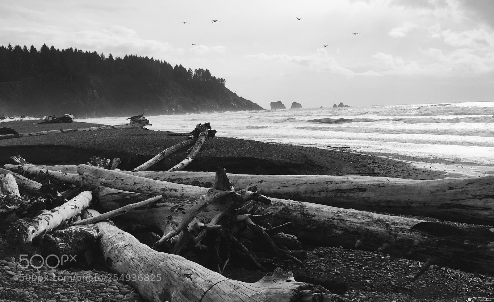 Apple iPhone 6 sample photo. Beach photography