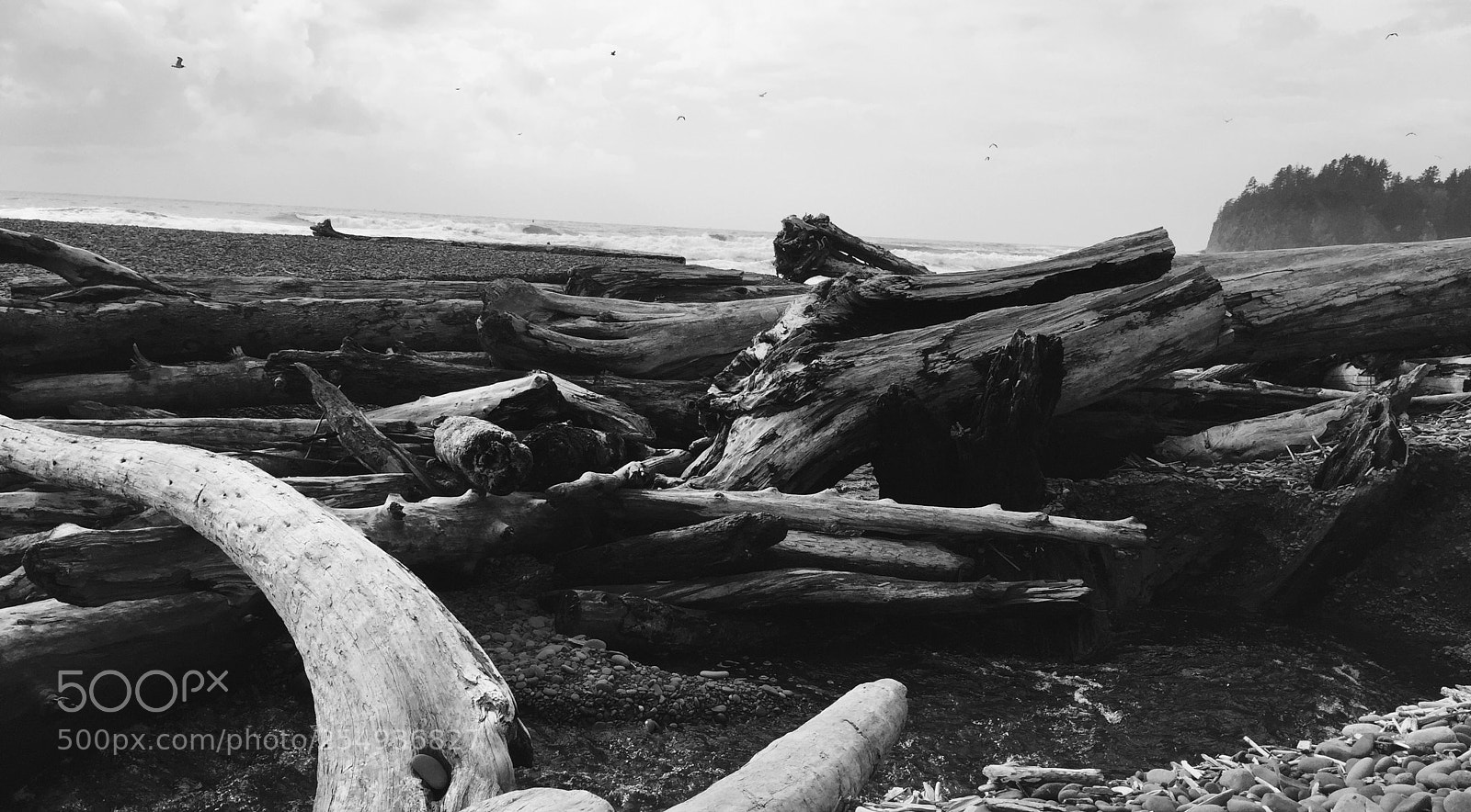 Apple iPhone 6 sample photo. Beach photography