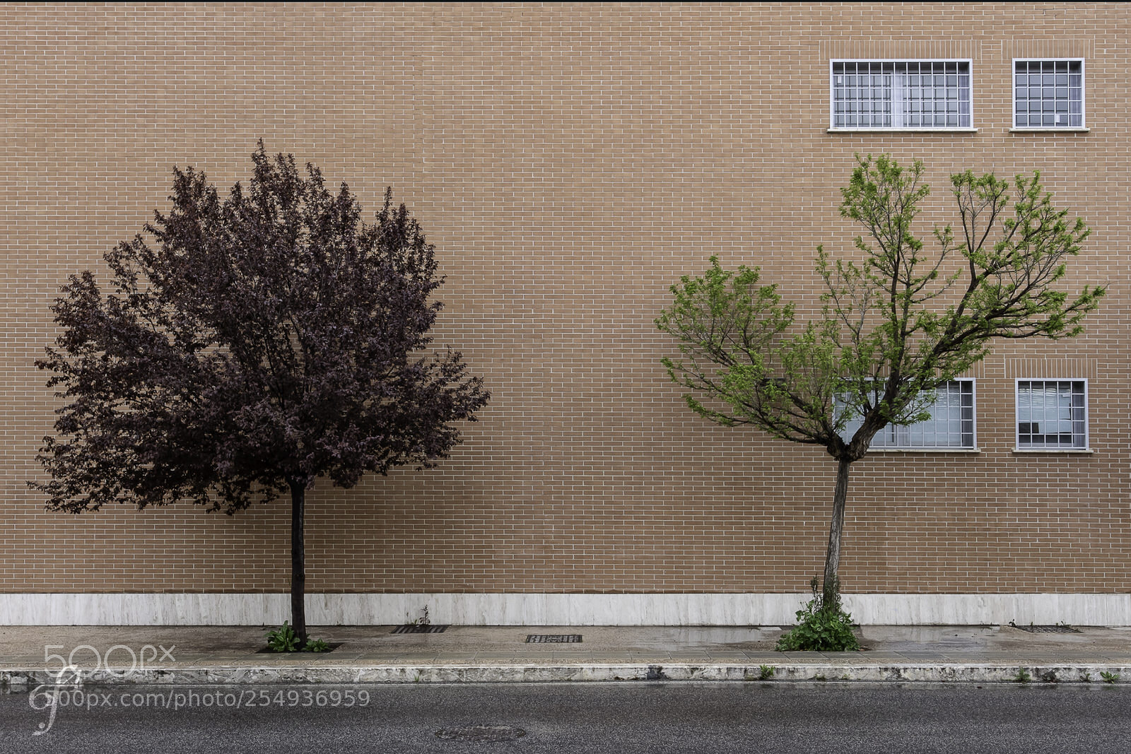 Canon EOS M10 sample photo. Different ways of spring photography