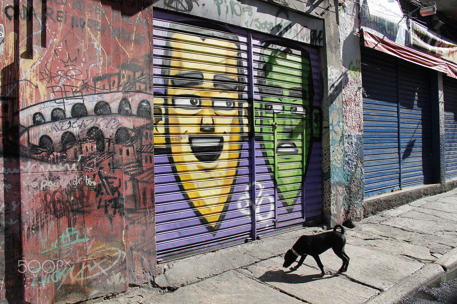 Canon EOS 550D (EOS Rebel T2i / EOS Kiss X4) sample photo. Happy faces and dog photography