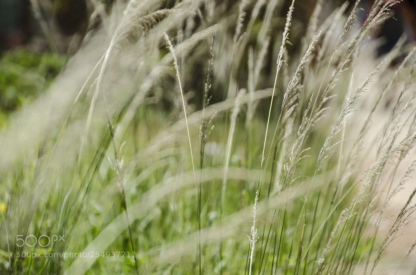 Nikon D7000 sample photo. Untitled photography