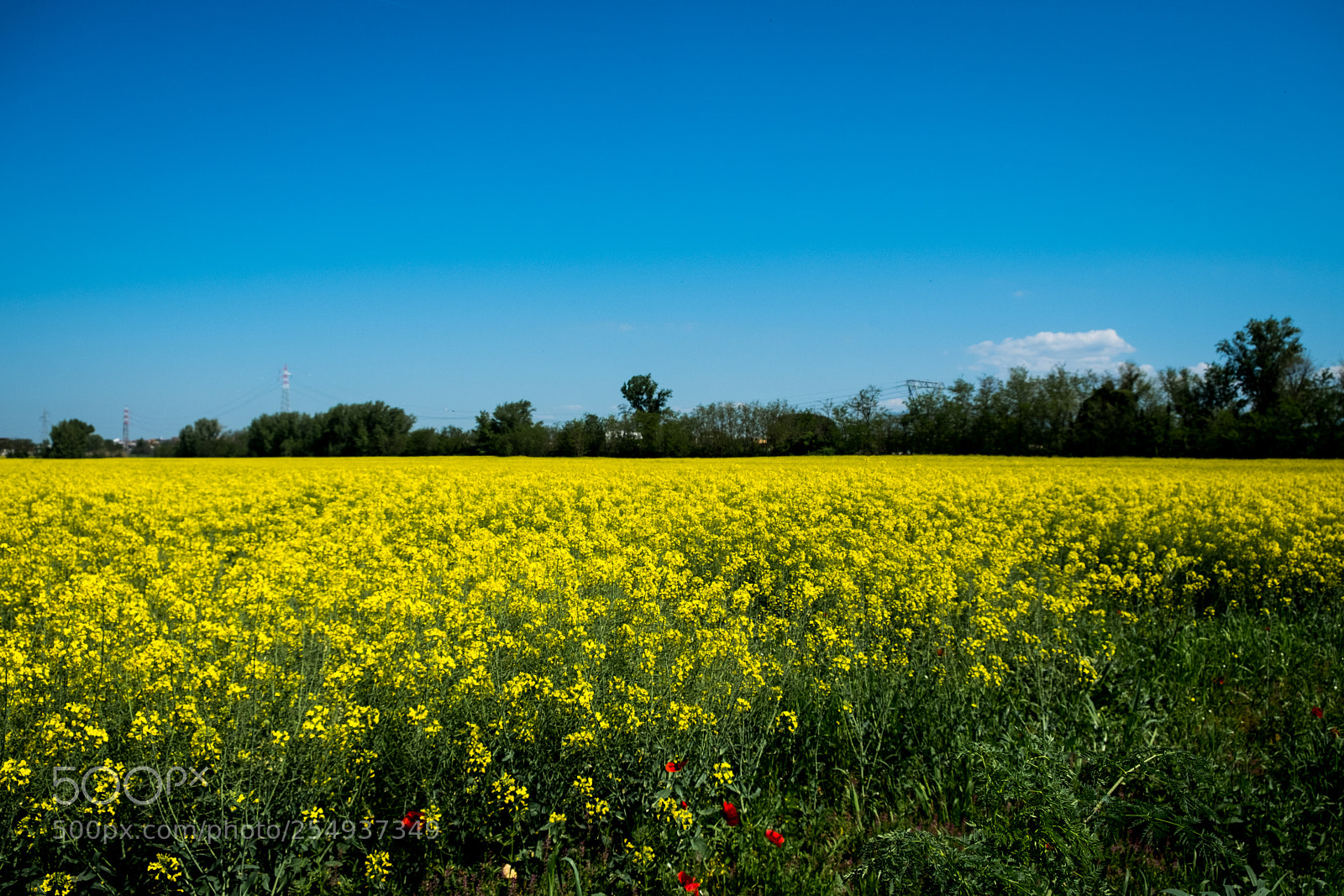 Fujifilm X-T20 sample photo. Untitled photography
