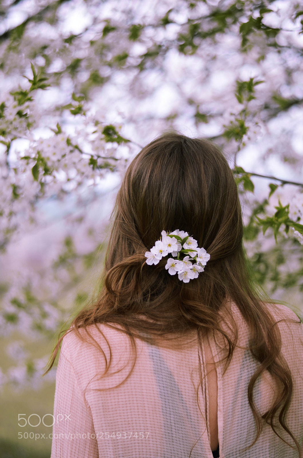 Nikon D7000 sample photo. Spring stories photography