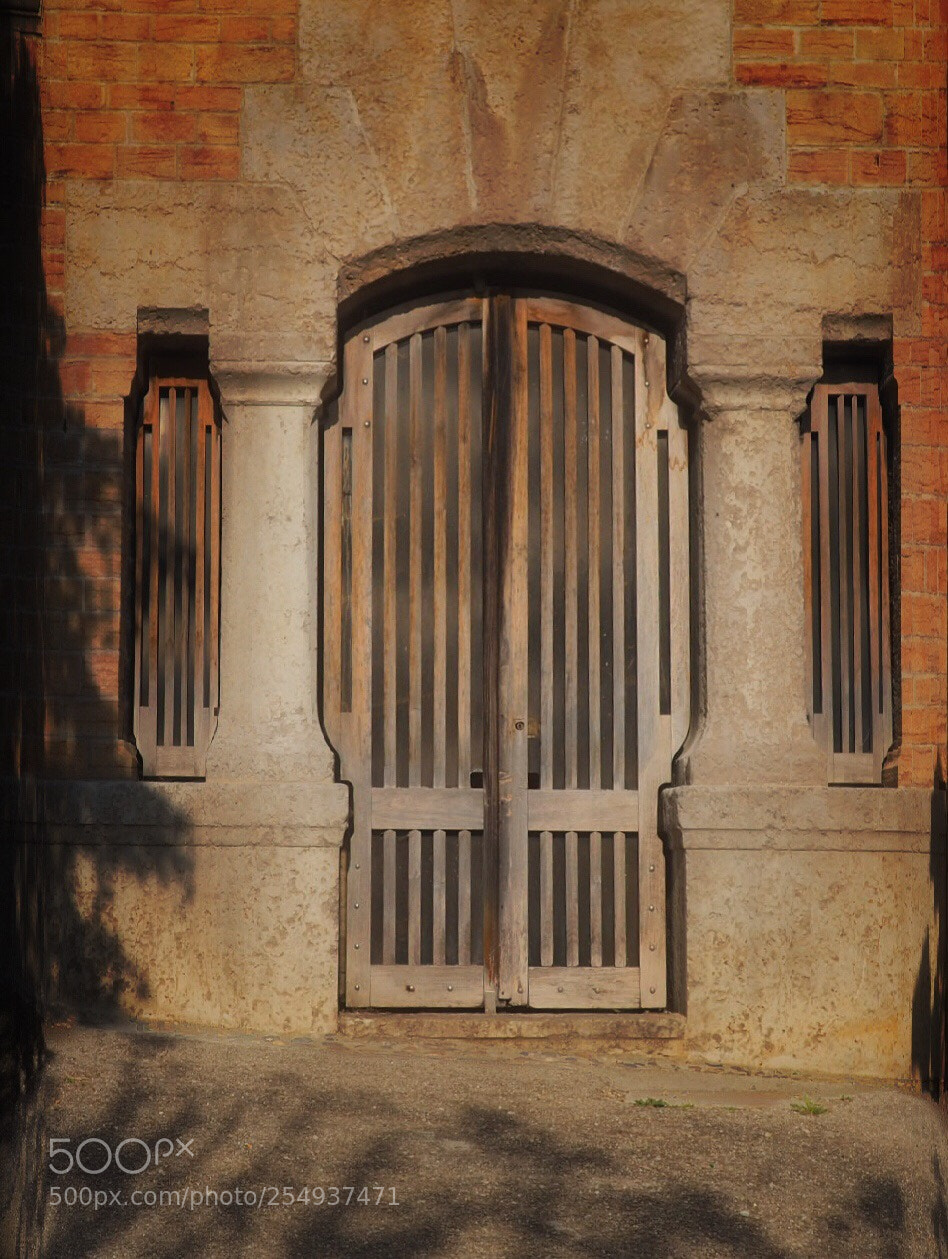 Olympus OM-D E-M10 II sample photo. The door photography